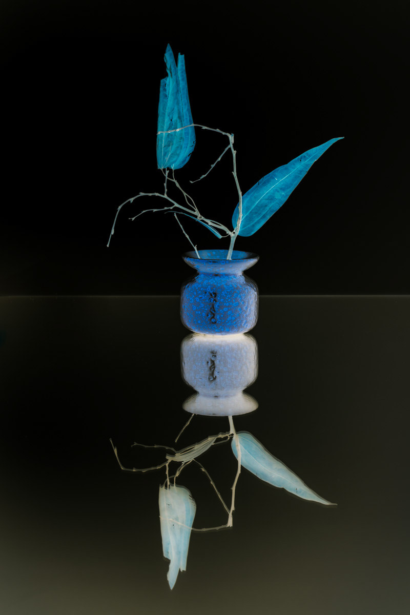 Still life with dry leaves and a vase