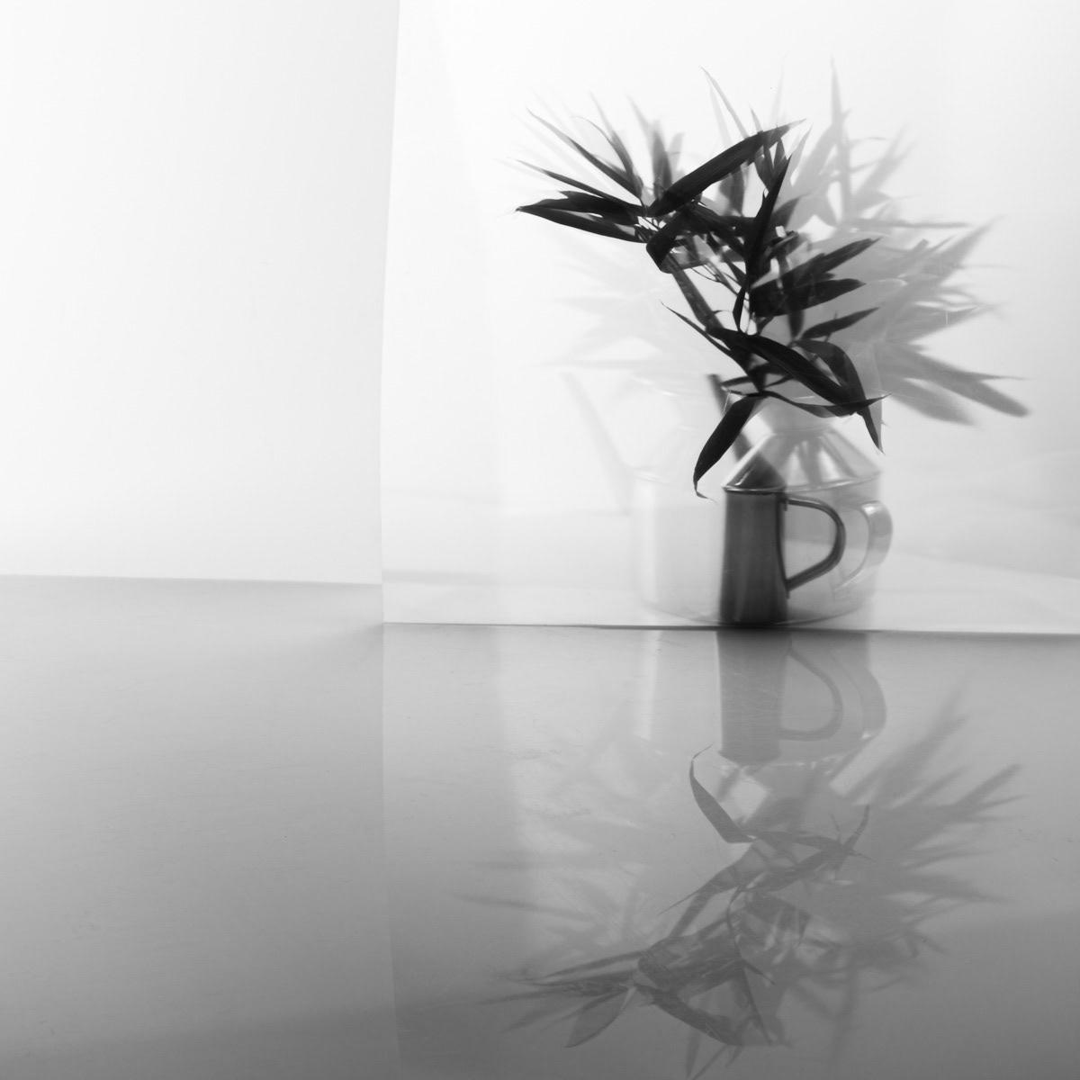 Abstract still life with reflection