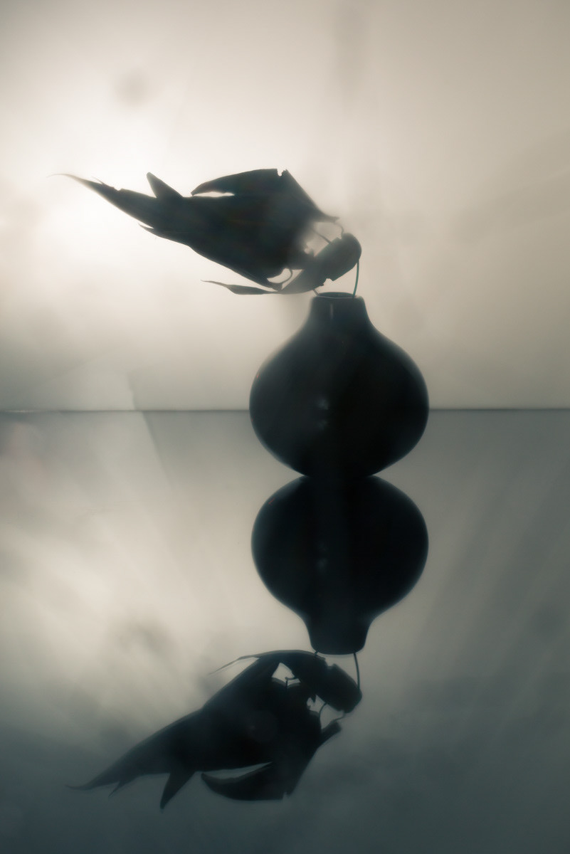 Still life with dry leaves and a vase
