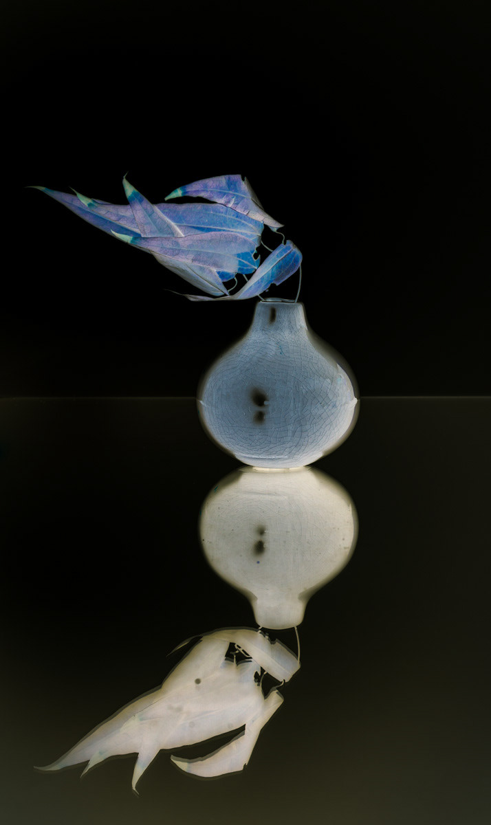 Still life with dry leaves and a vase