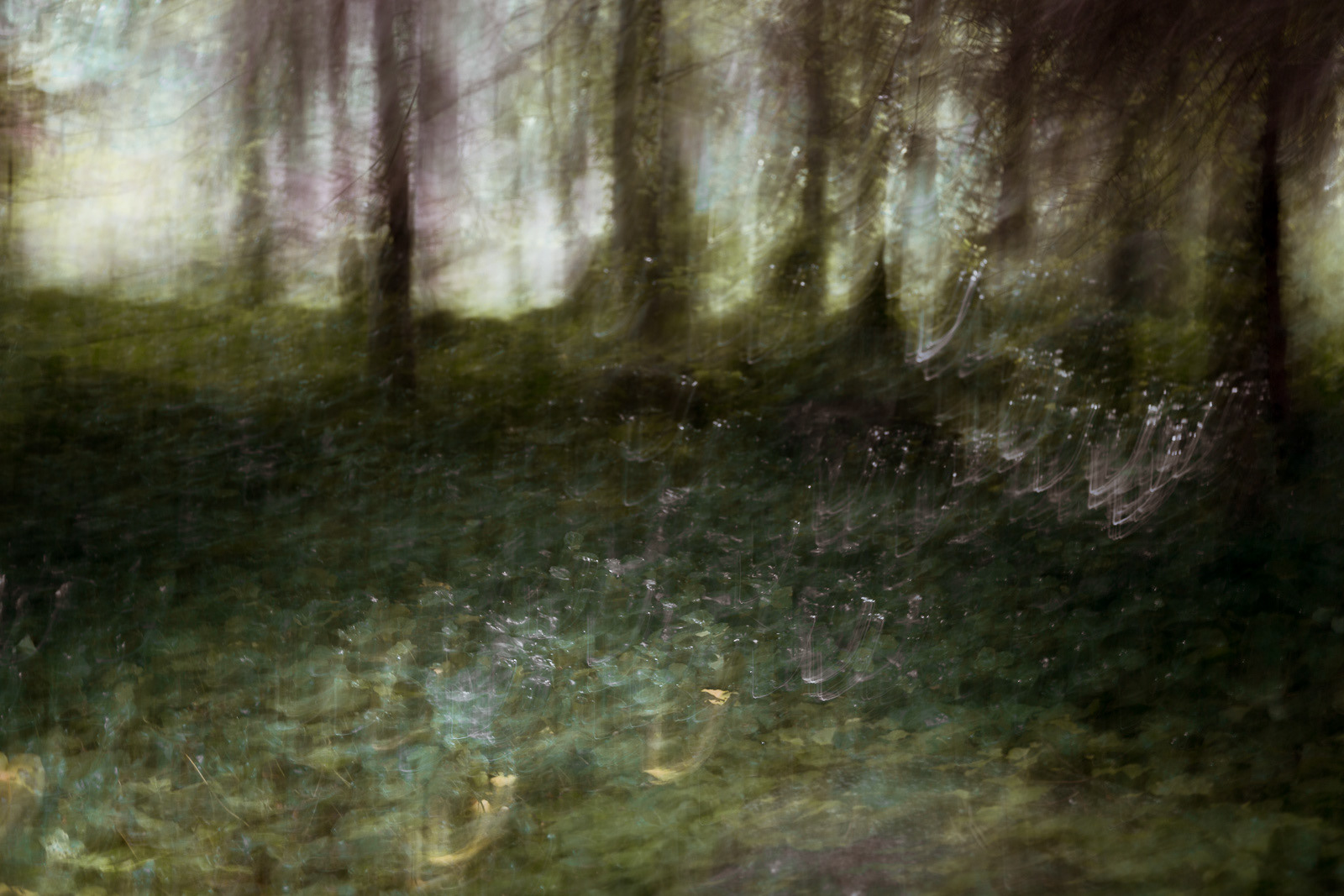 "My pure impressions". Photography by © Ewa Brykowska. All Rights Reserved.