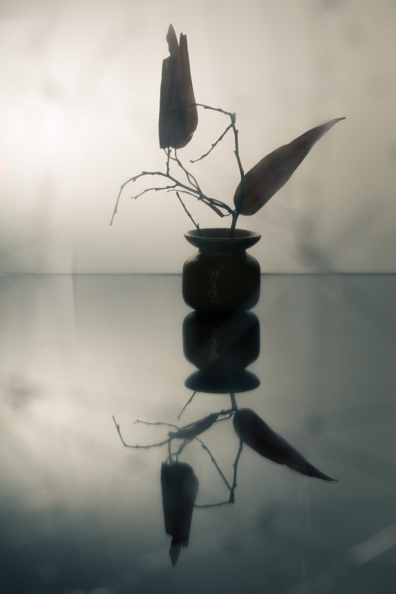 Still life with dry leaves and a vase