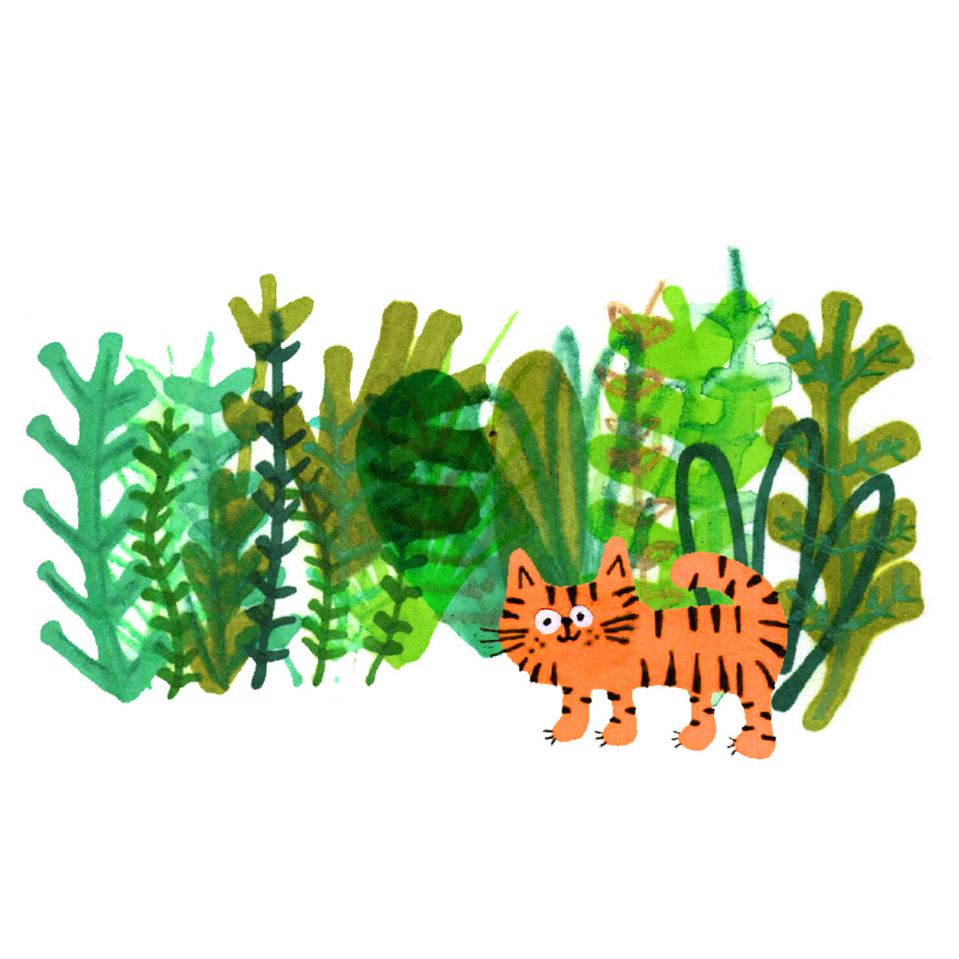Jungle illustration