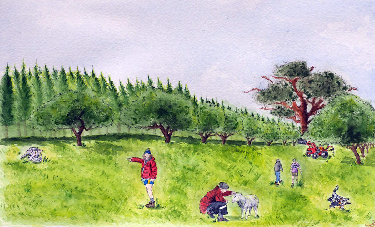 Brigadoon-by-Brooke-watercolour-and-fineliner-on-coldpress-paper-18-x-29.5cm