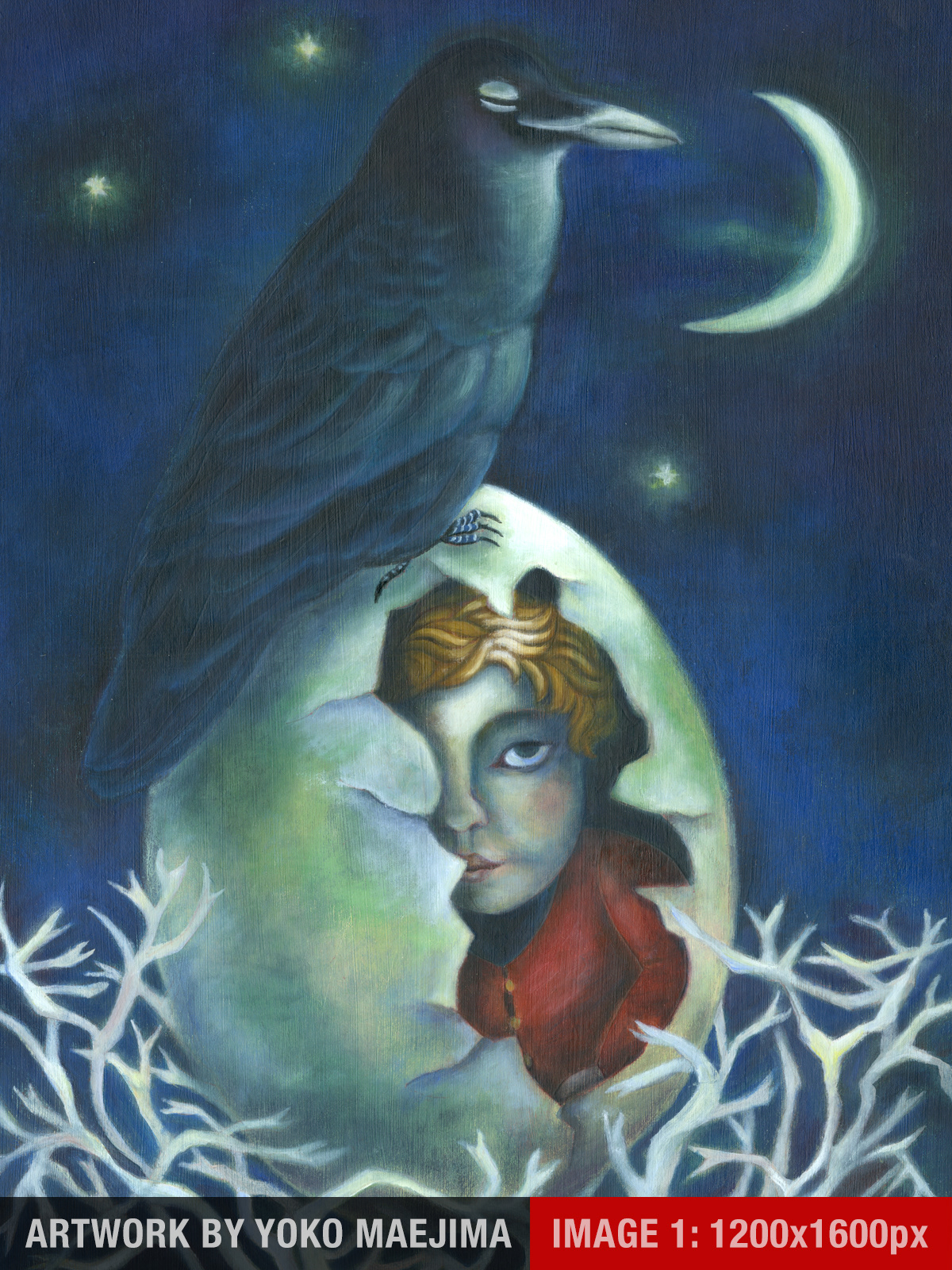 THIS IS WHERE THE CAPTION APPEARS