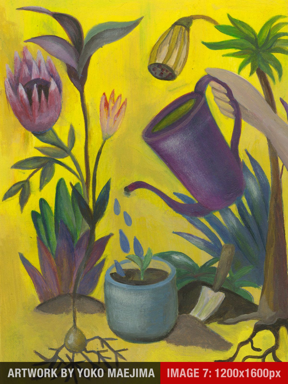 THIS IS WHERE THE CAPTION APPEARS