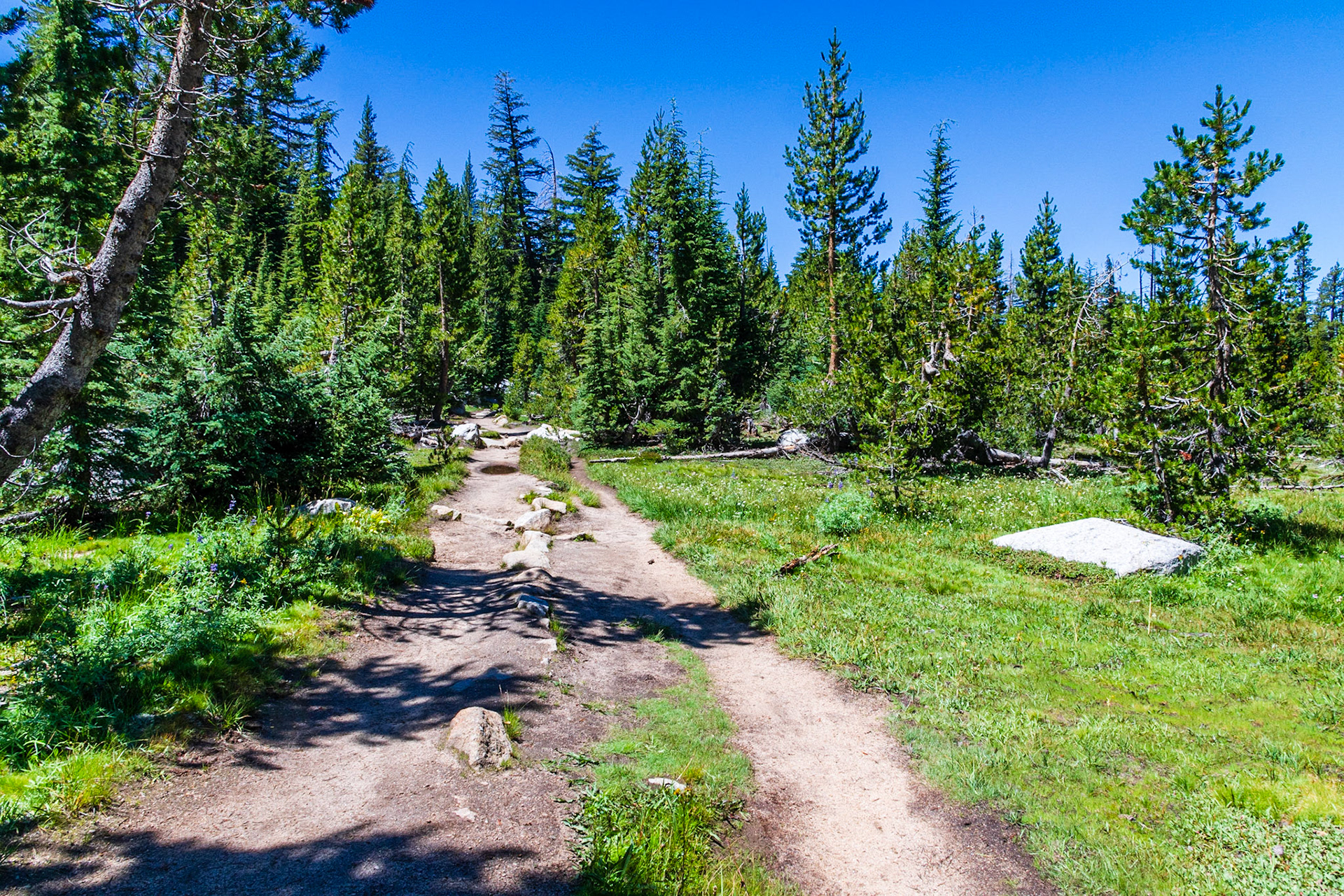 Cathedral Lakes Trail