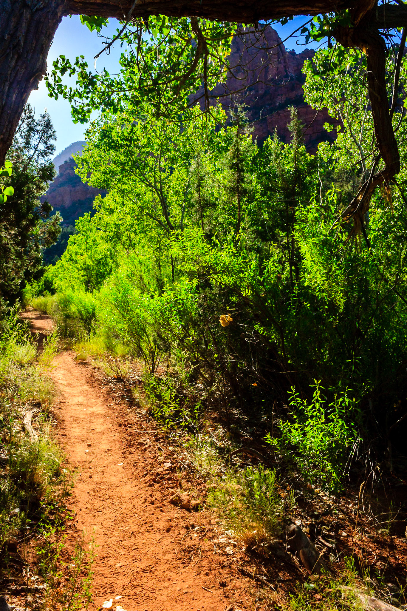 Trail to Kolob Canyon