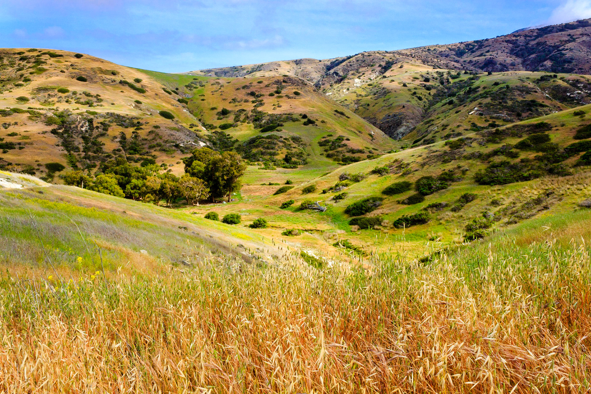 Looking down into the Scorpion Ranch area from Cavern Point.