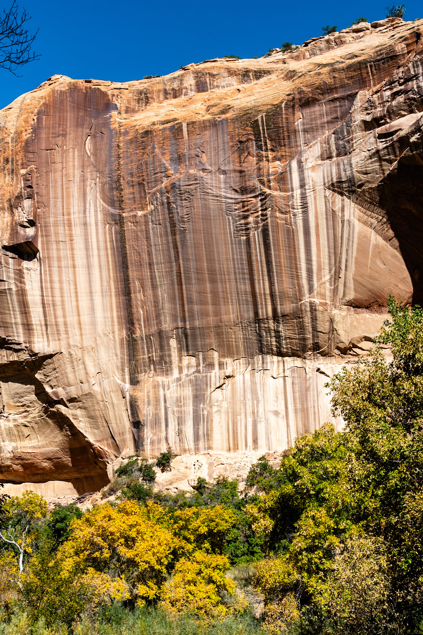 Lower Calf Creek Canyon