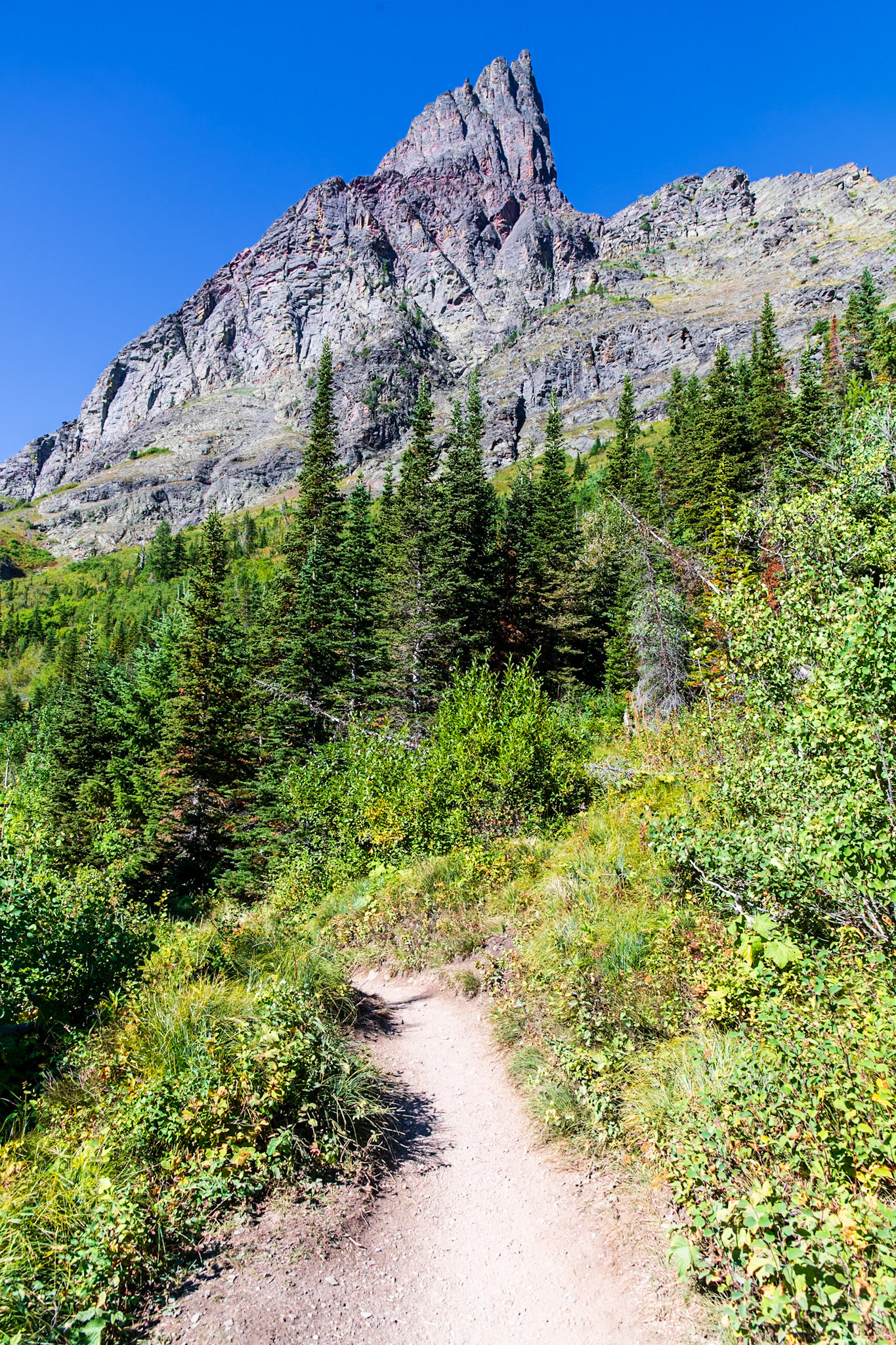 Along the Grinnell Glacier Trail.