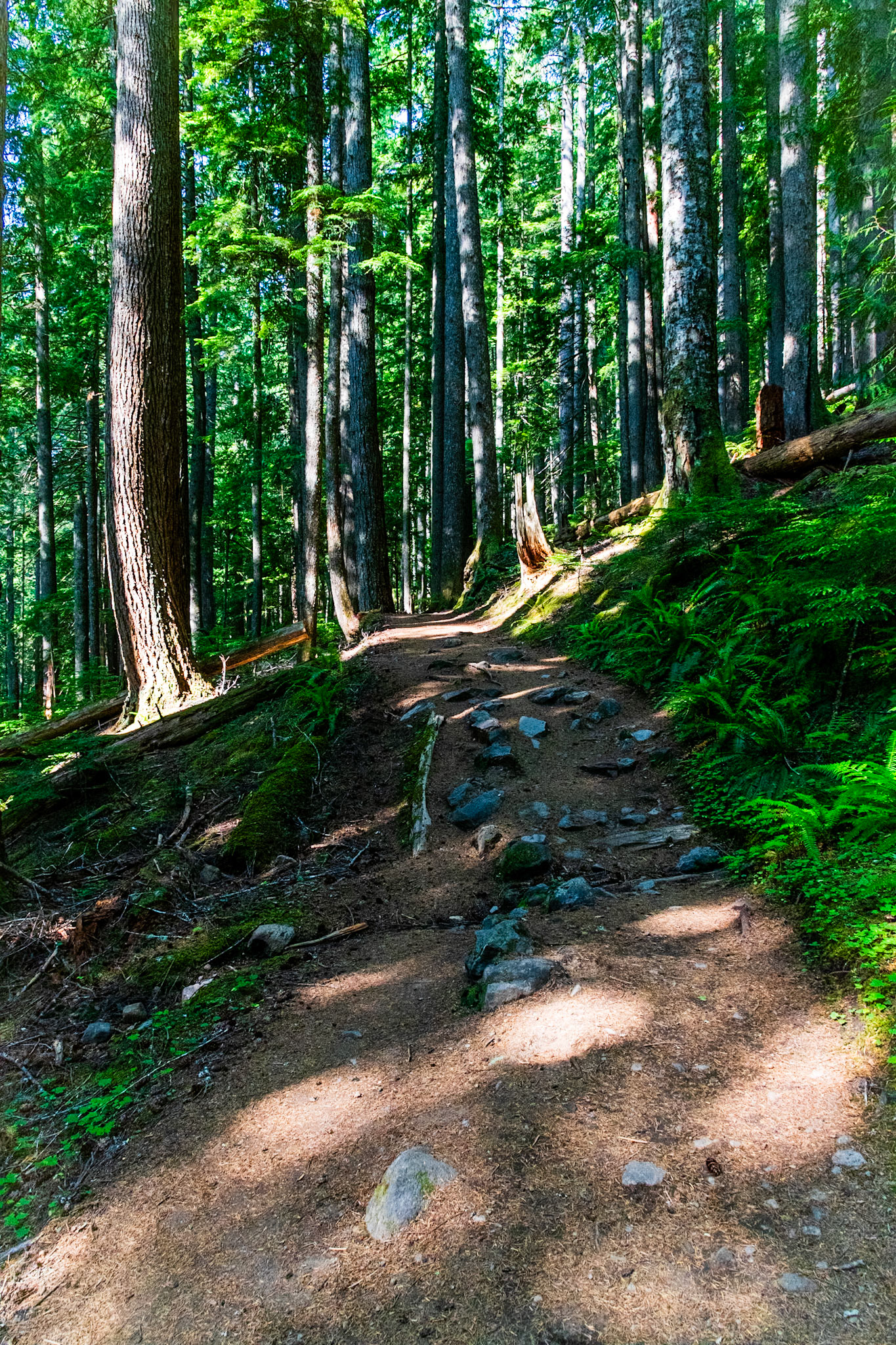Rampart Ridge Trail