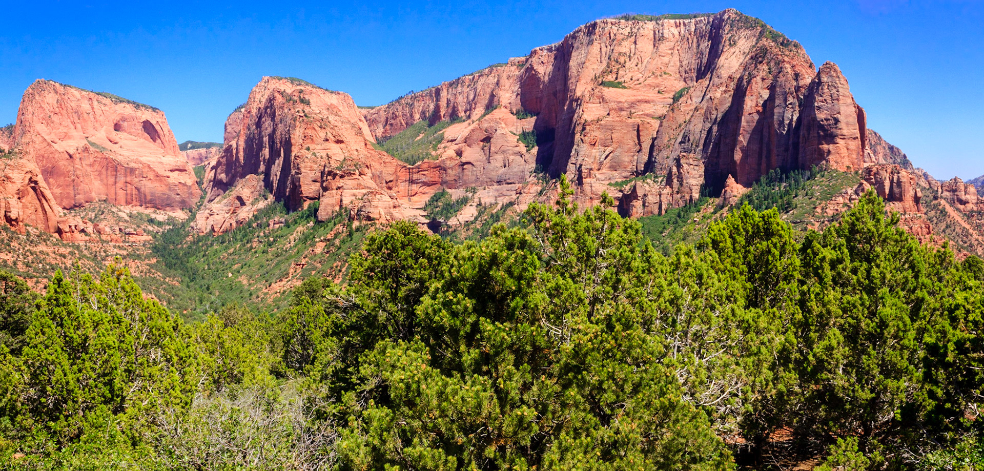 Timber Top Mountain
