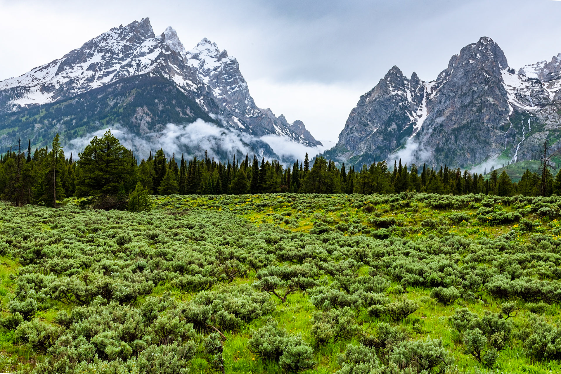 Cascade Canyon
