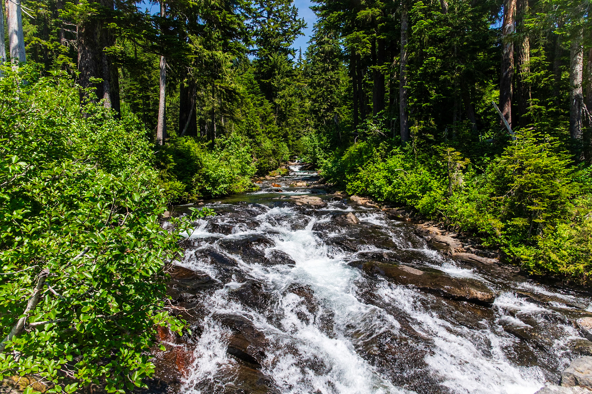 Paradise River above Narada Falls