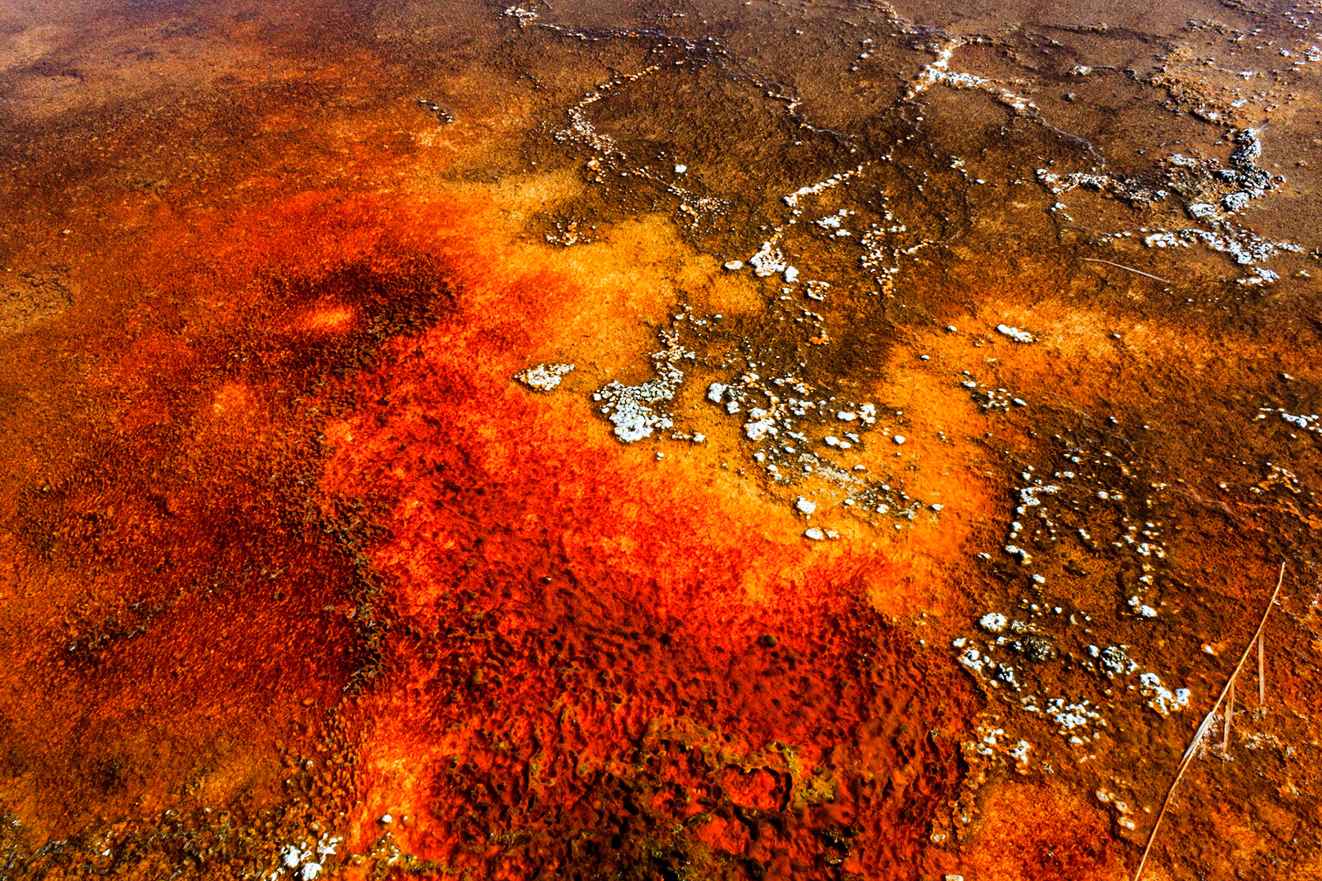 Mineral Deposits and Thermophile Bacteria