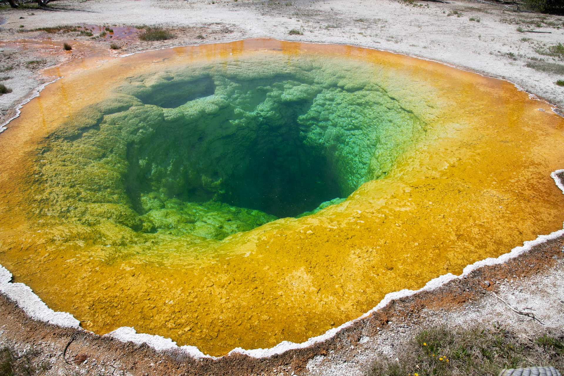 Morning Glory Pool