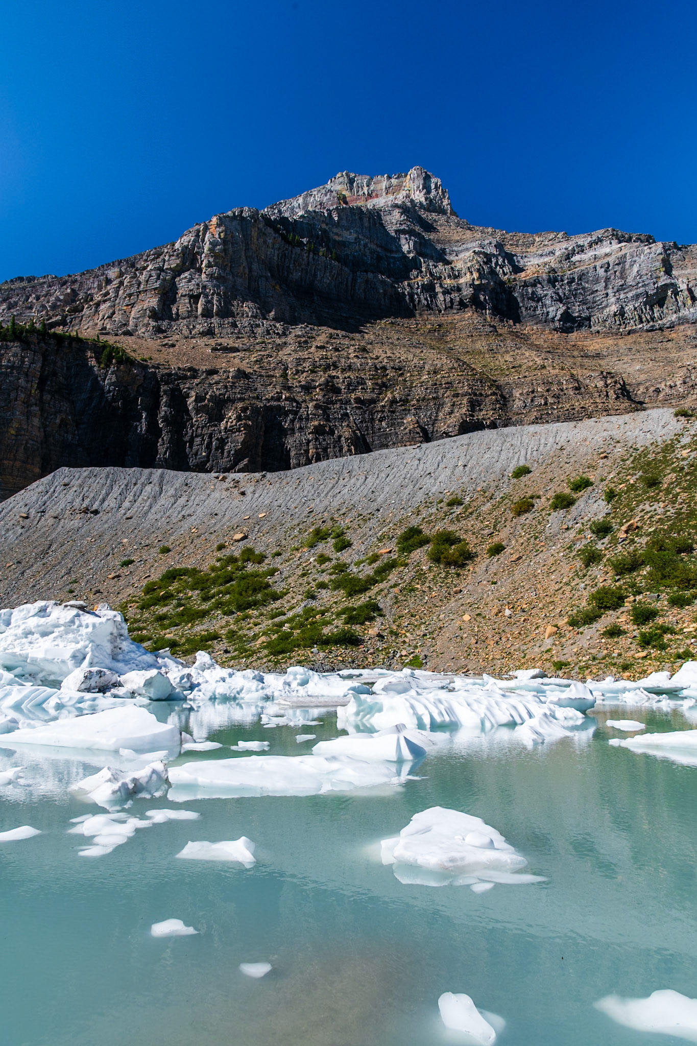 Broken up pieces of Grinnell Glacier.