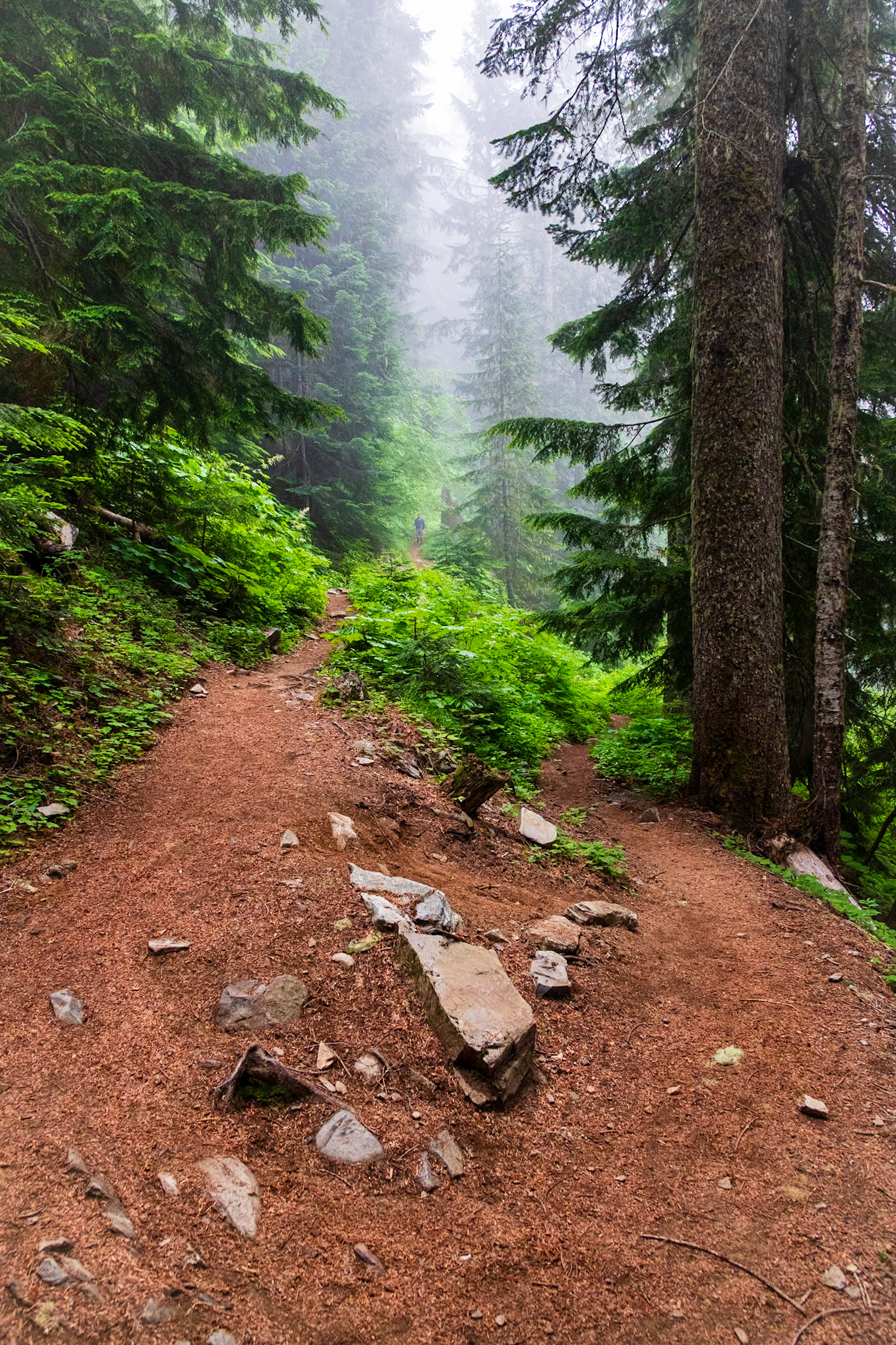 Cascade Pass Trail