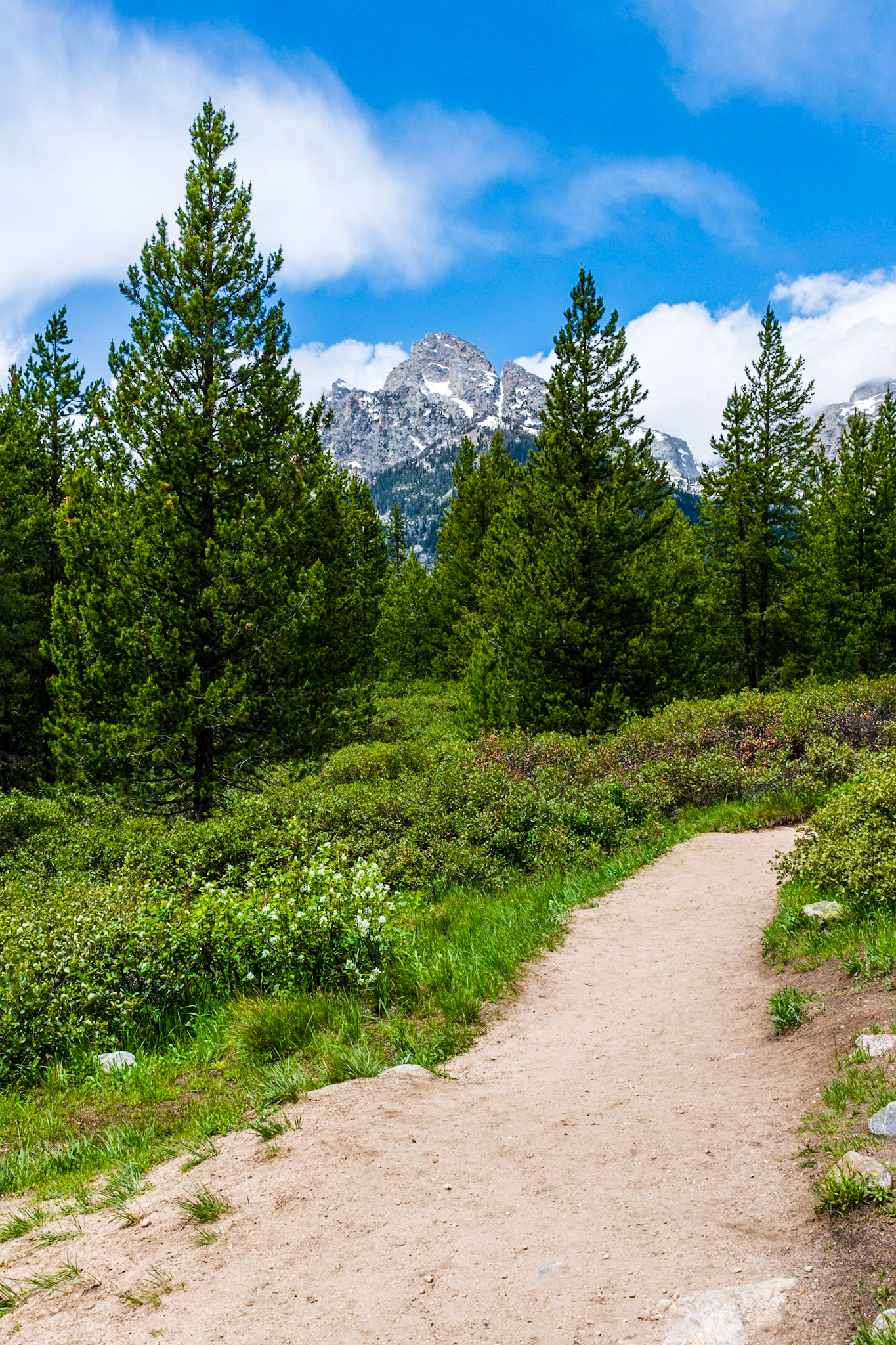 Trail to Taggart Lake
