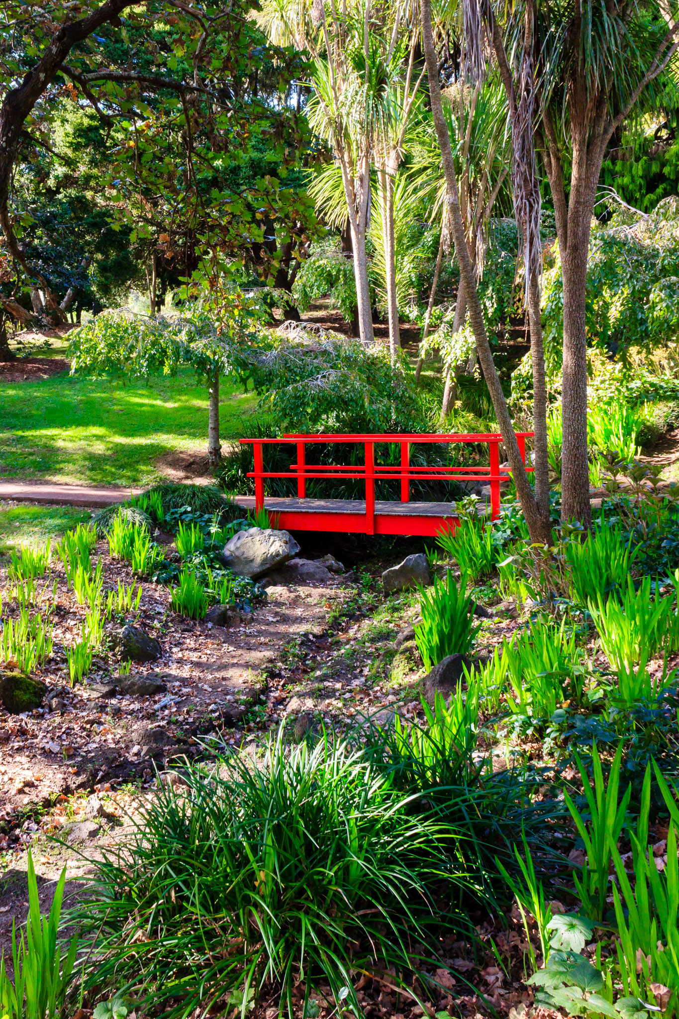 Auckland City Park