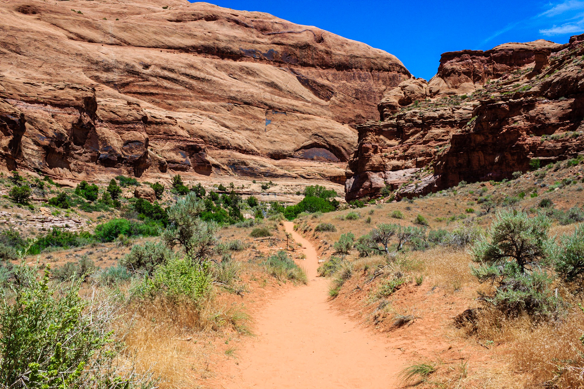 Entrance to Mill Creek Canyon