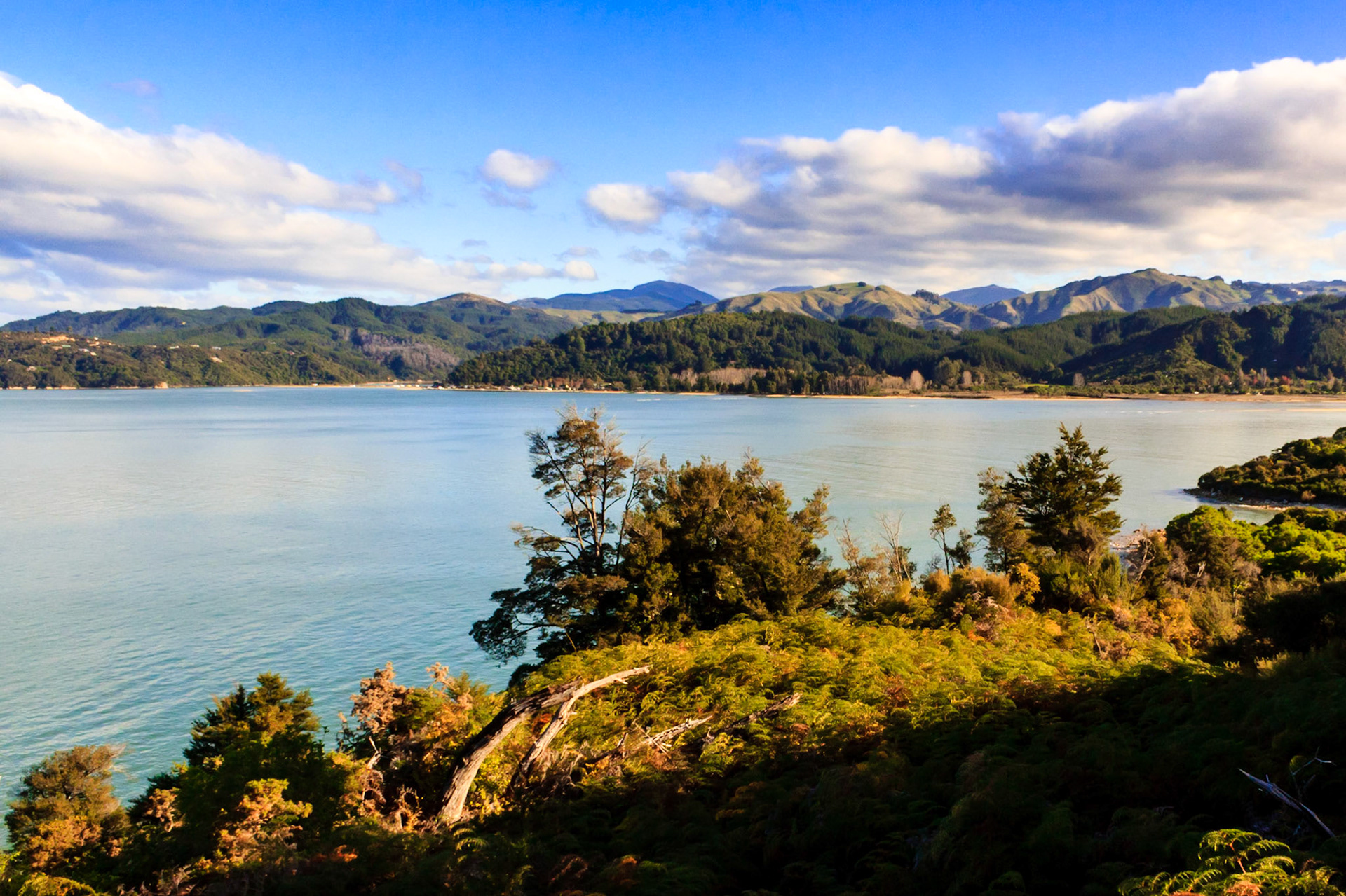More bays along the trail in Able Tasman National Park.