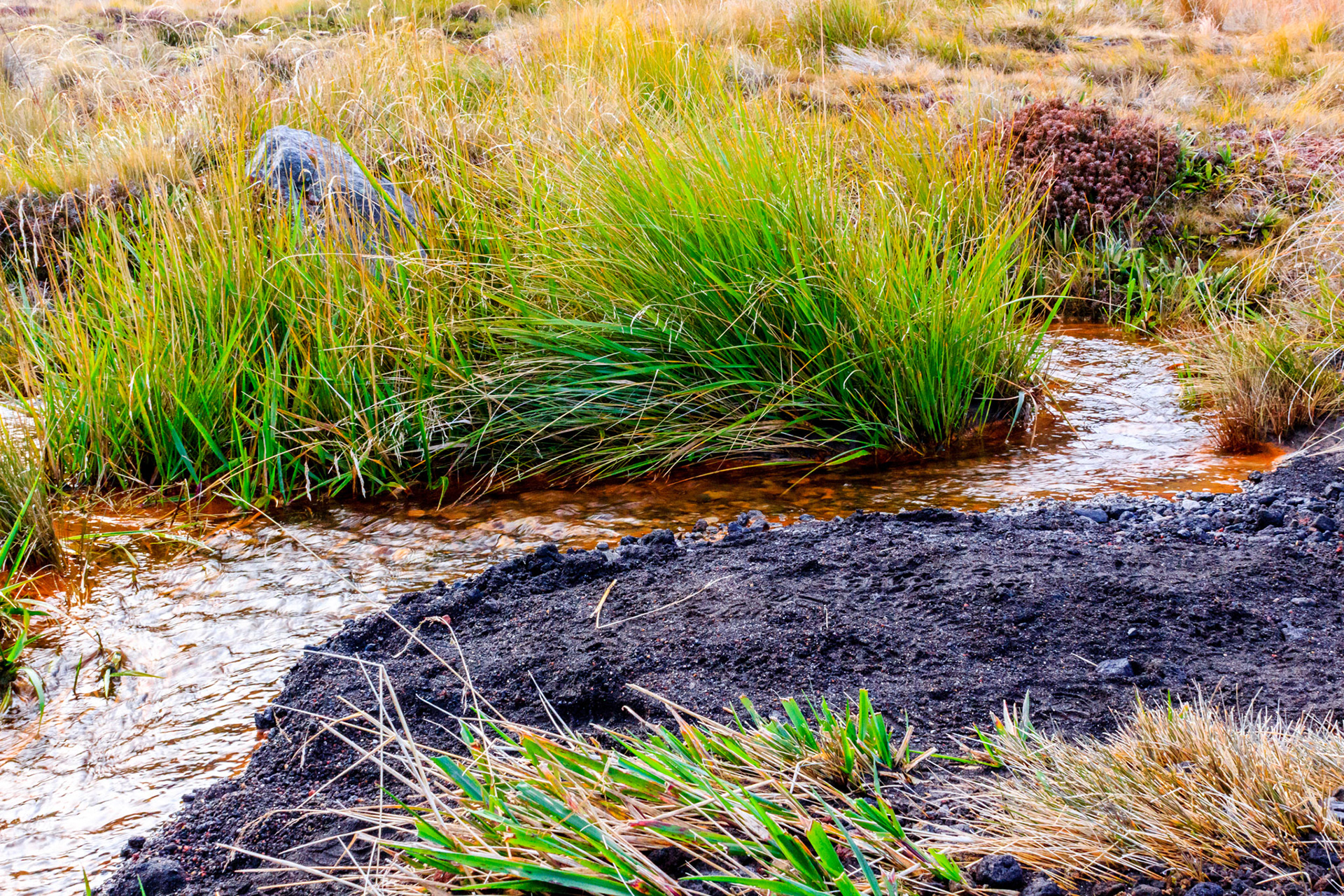 Iron rich stream along the Tongariro Alpine Crossing.