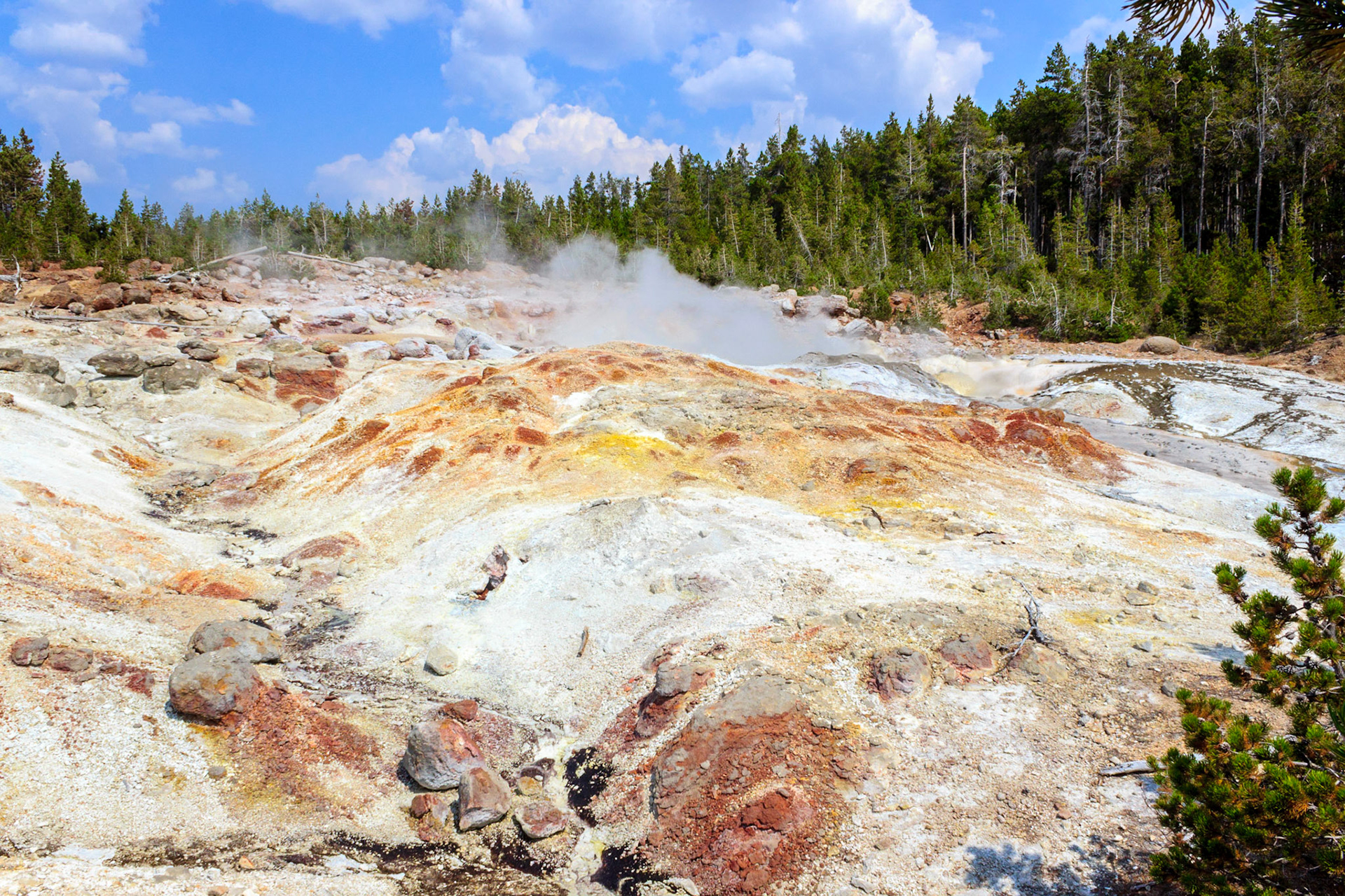 Echinus Geyser in Norris Geyser Basin