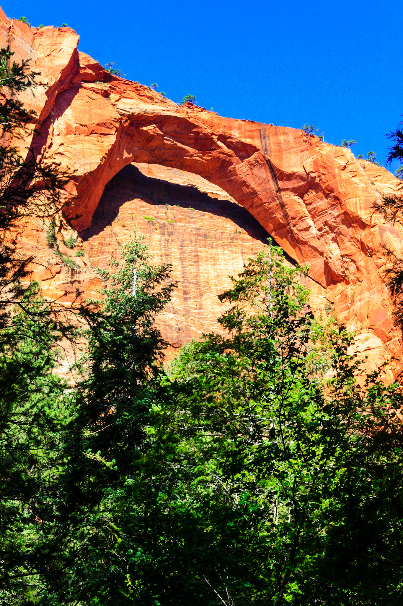 Kolob Arch
