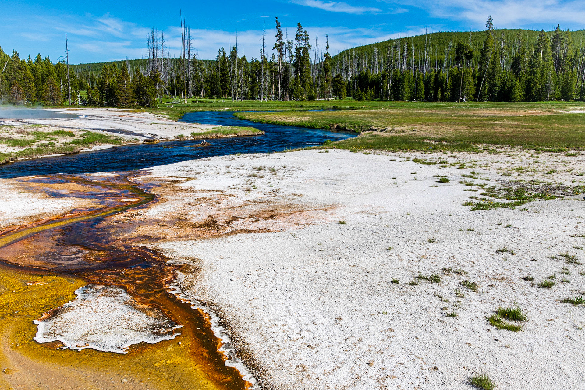 Iron Spring Creek in Black Sand Basin