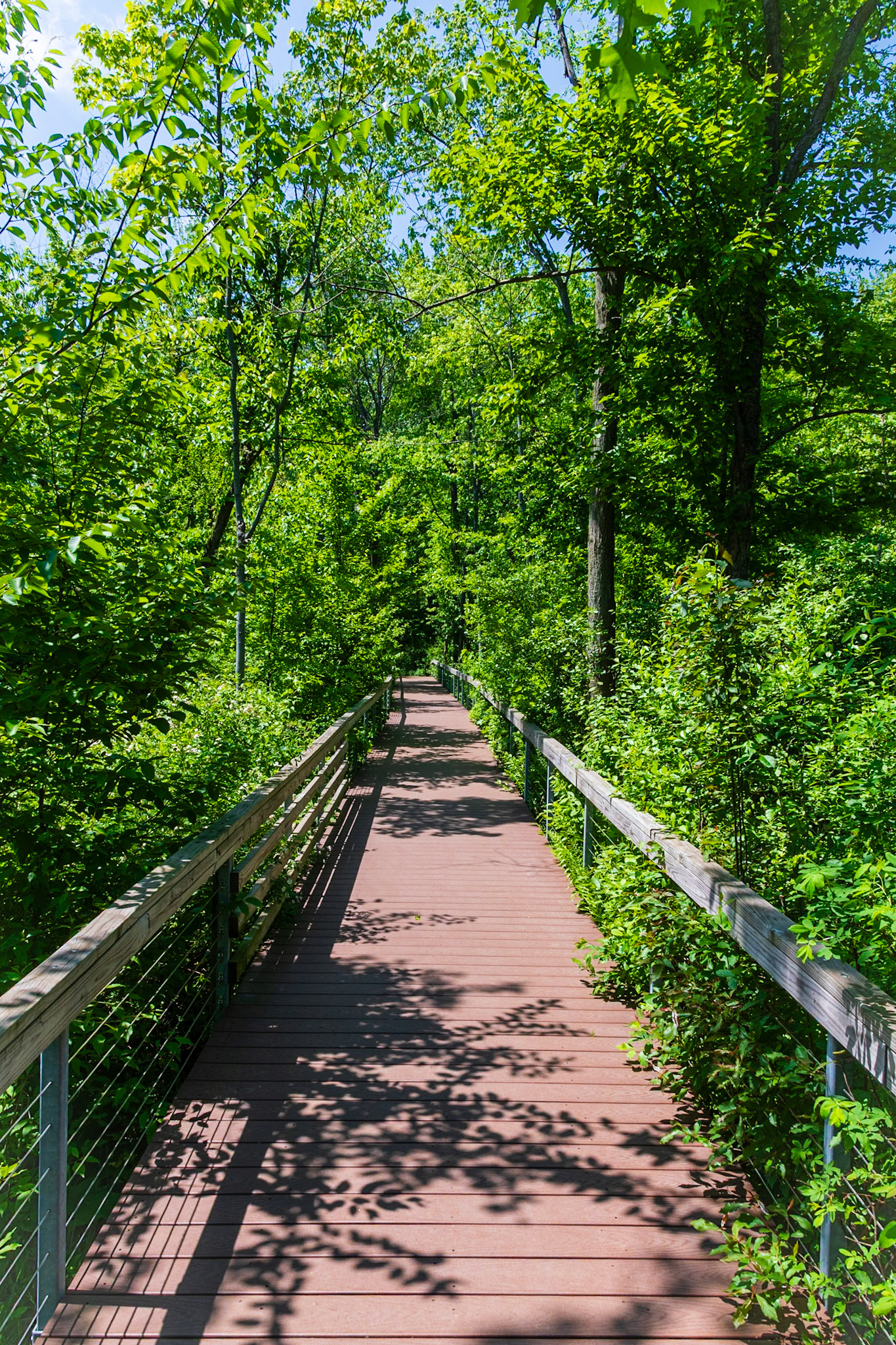 Beginning of the Cowles Bog trail.