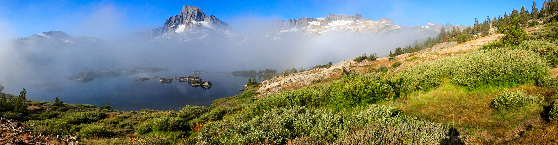 Morning Fog