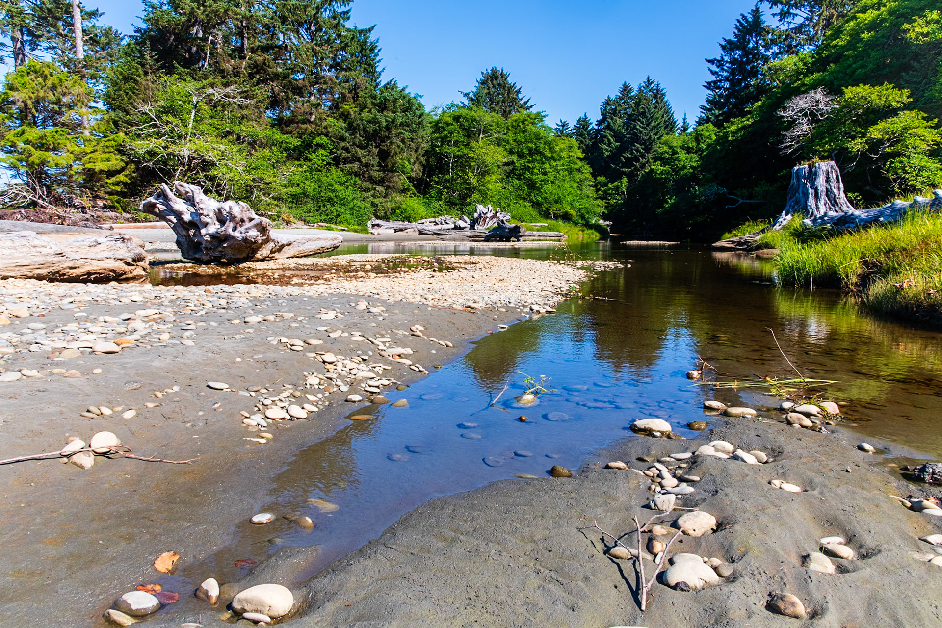 Kalaloch Creek at Kalaloch Beach