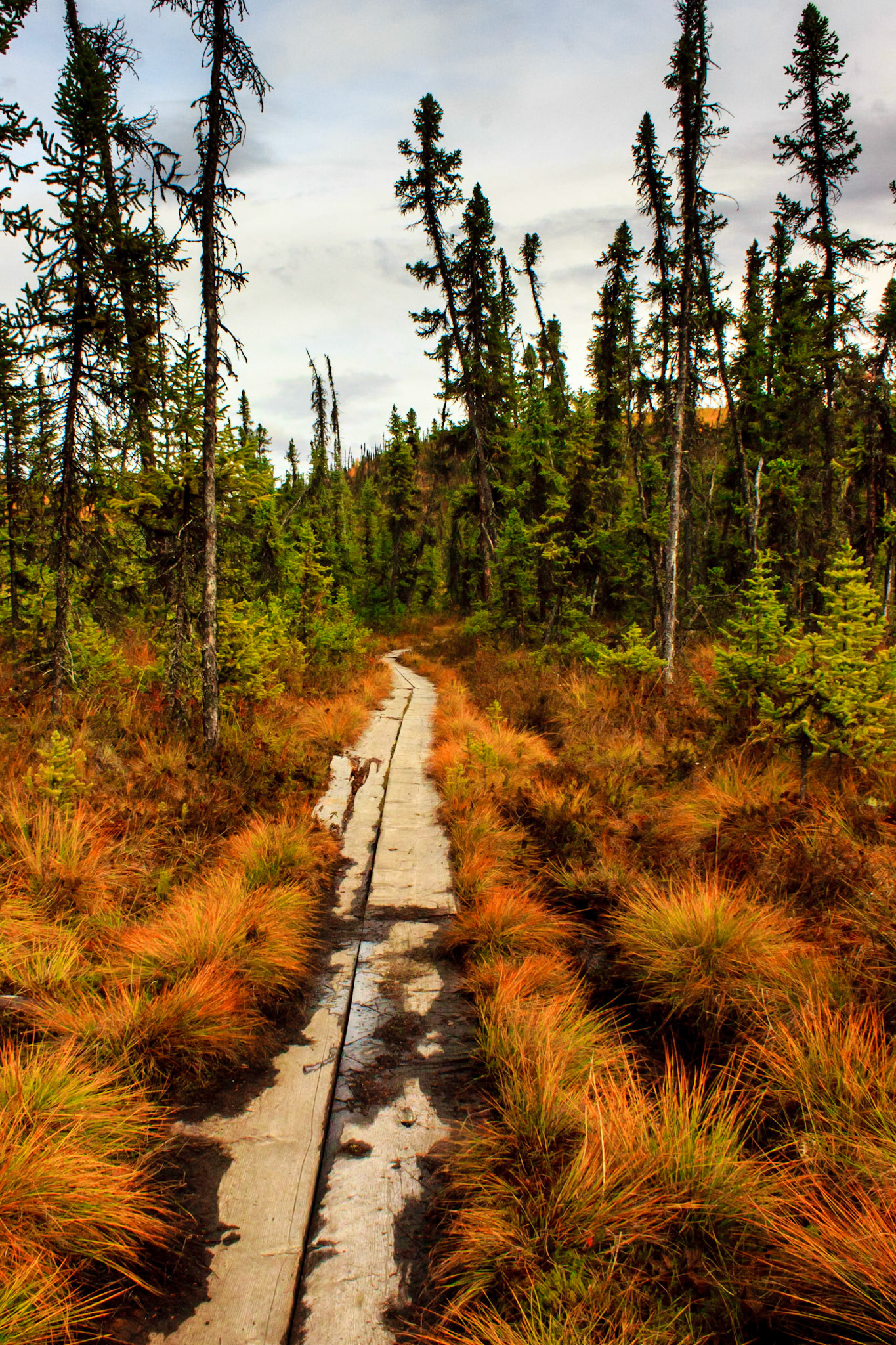 Chena River State Recreation Area