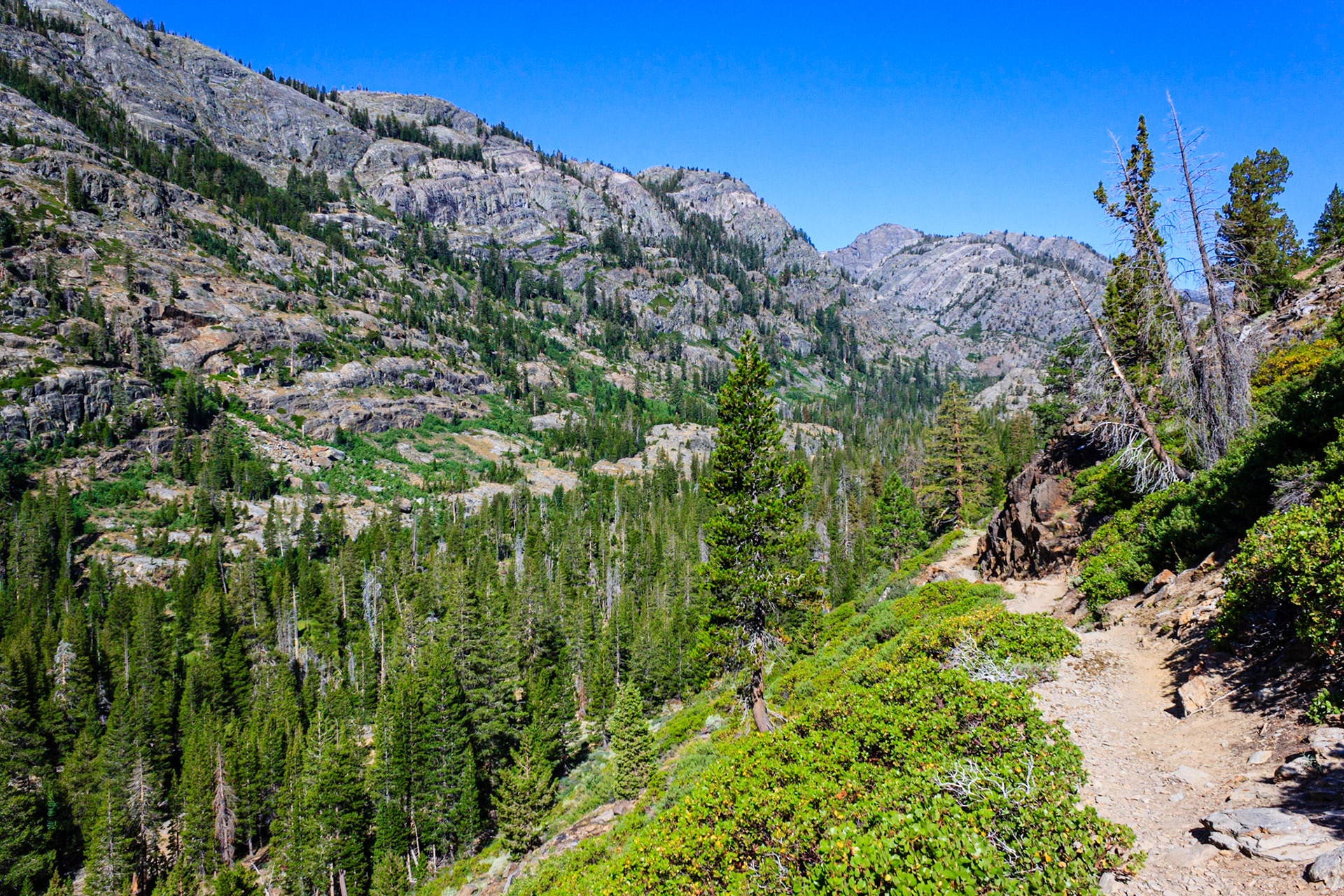 Shadow Creek Trail