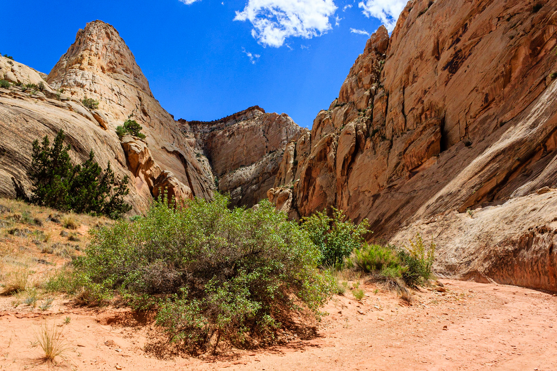 Grand Wash