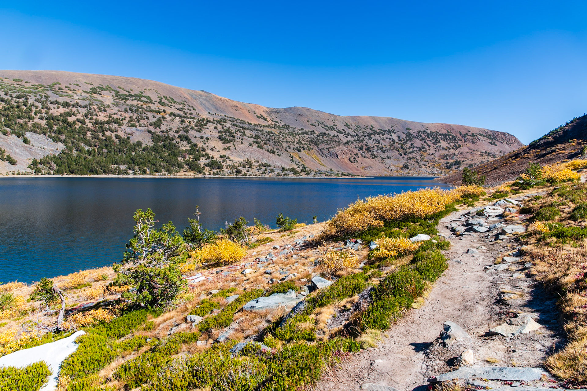 On the Saddlebag Lake loop trail.