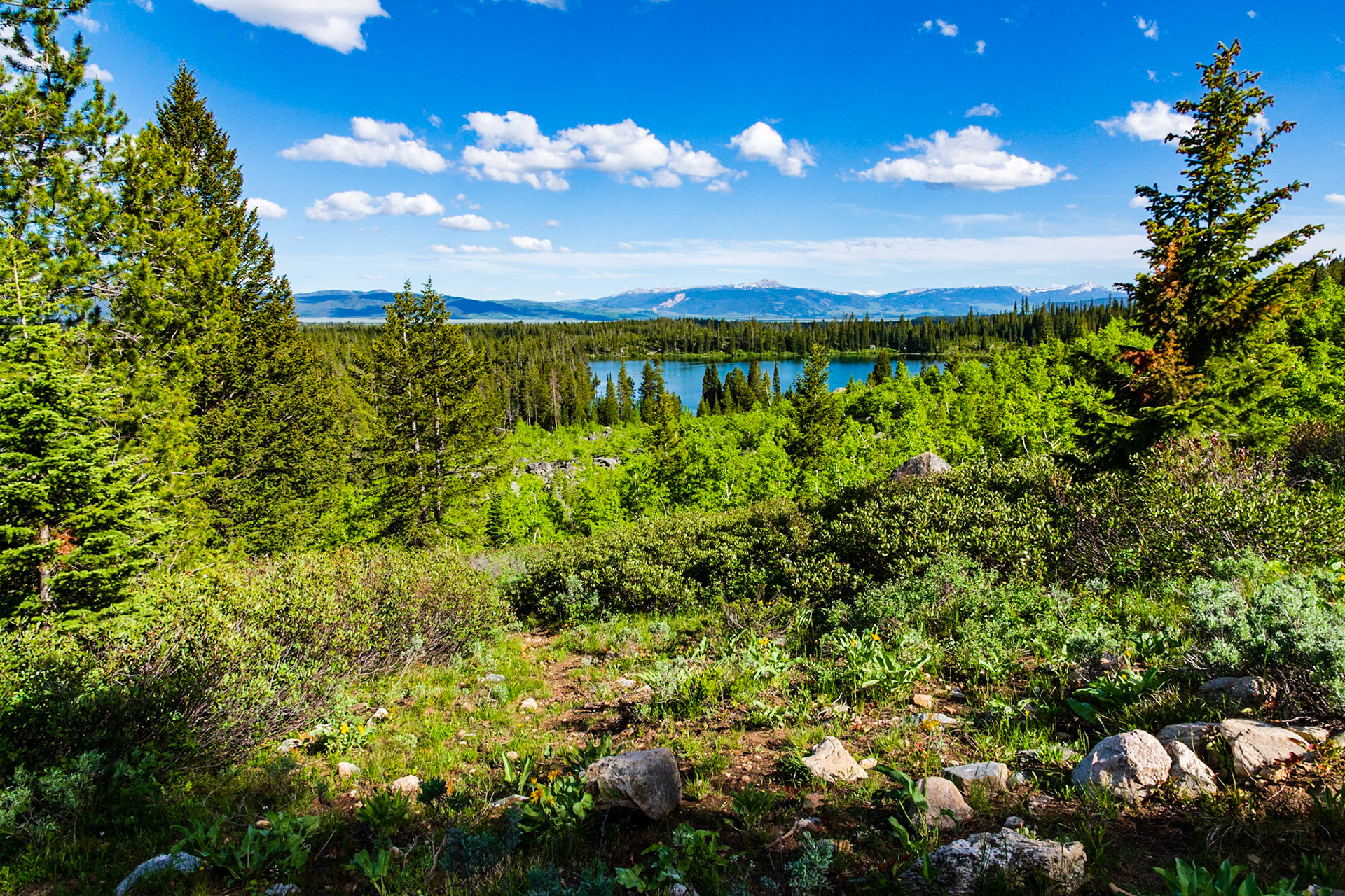 Leigh Lake