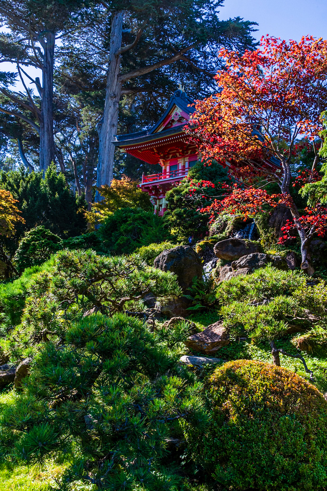 Japanese Tea Garden