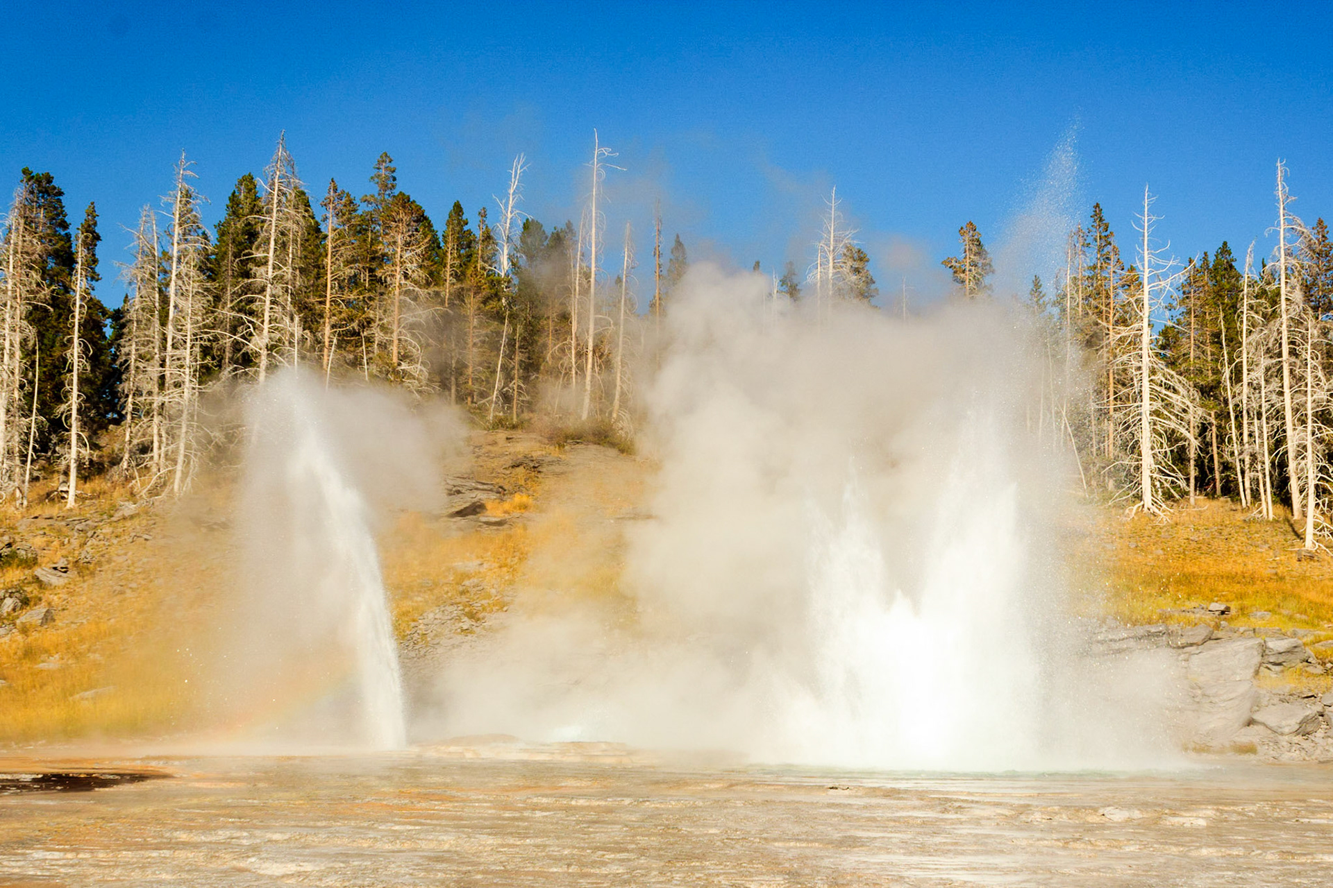 Grand Geyser