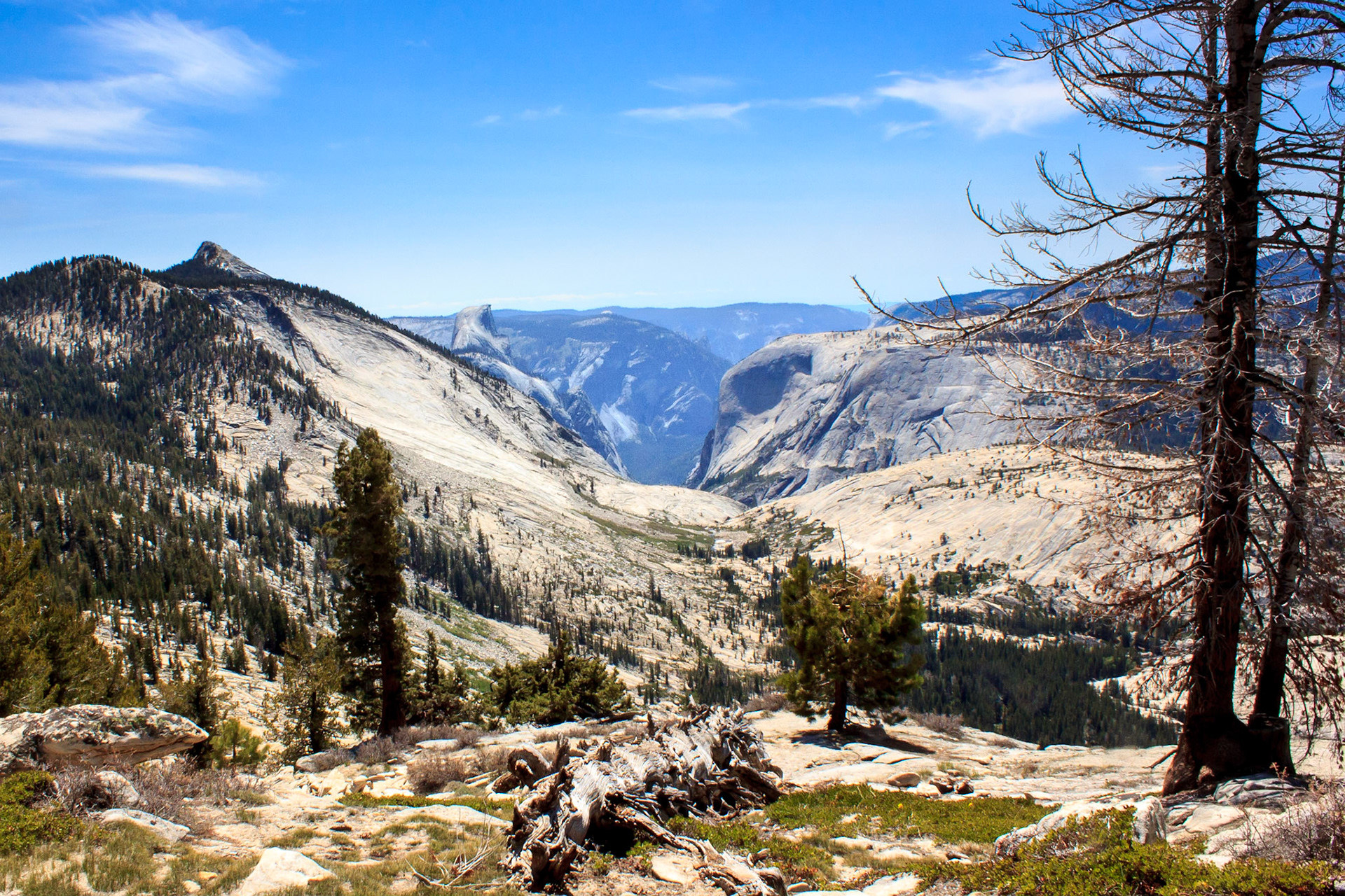 Cloud's Rest, Half Dome, and Tenaya Canyon