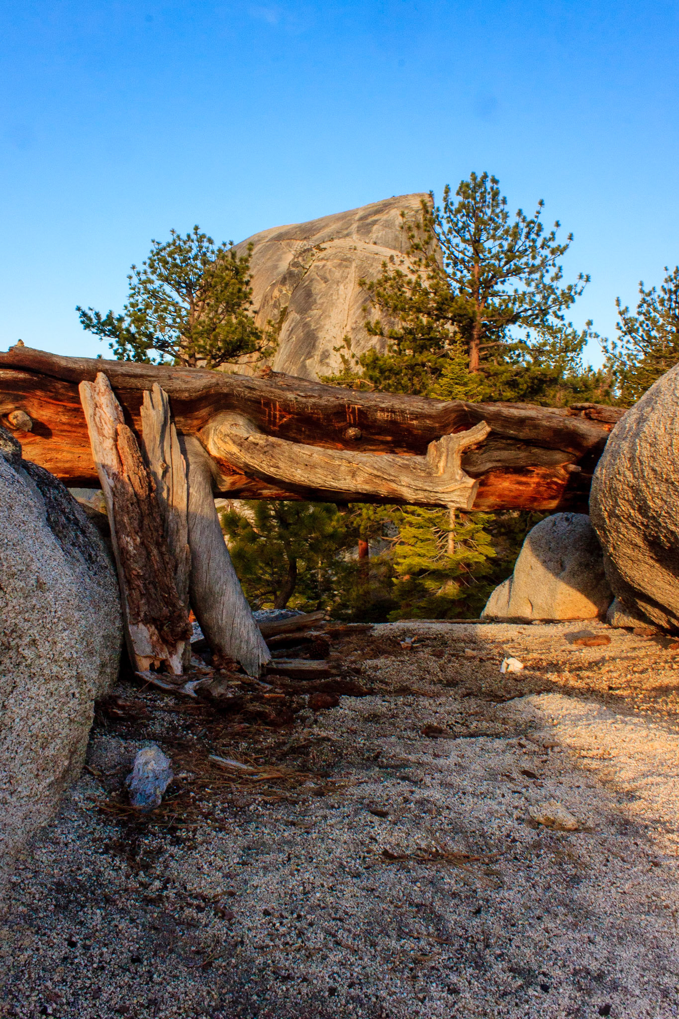 Half Dome at Sunrise