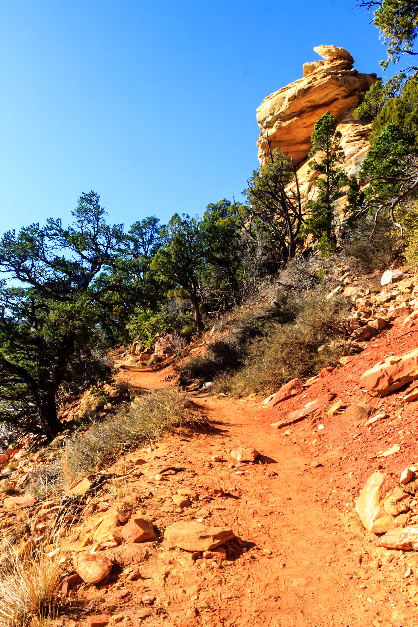 Observation Point Trail.