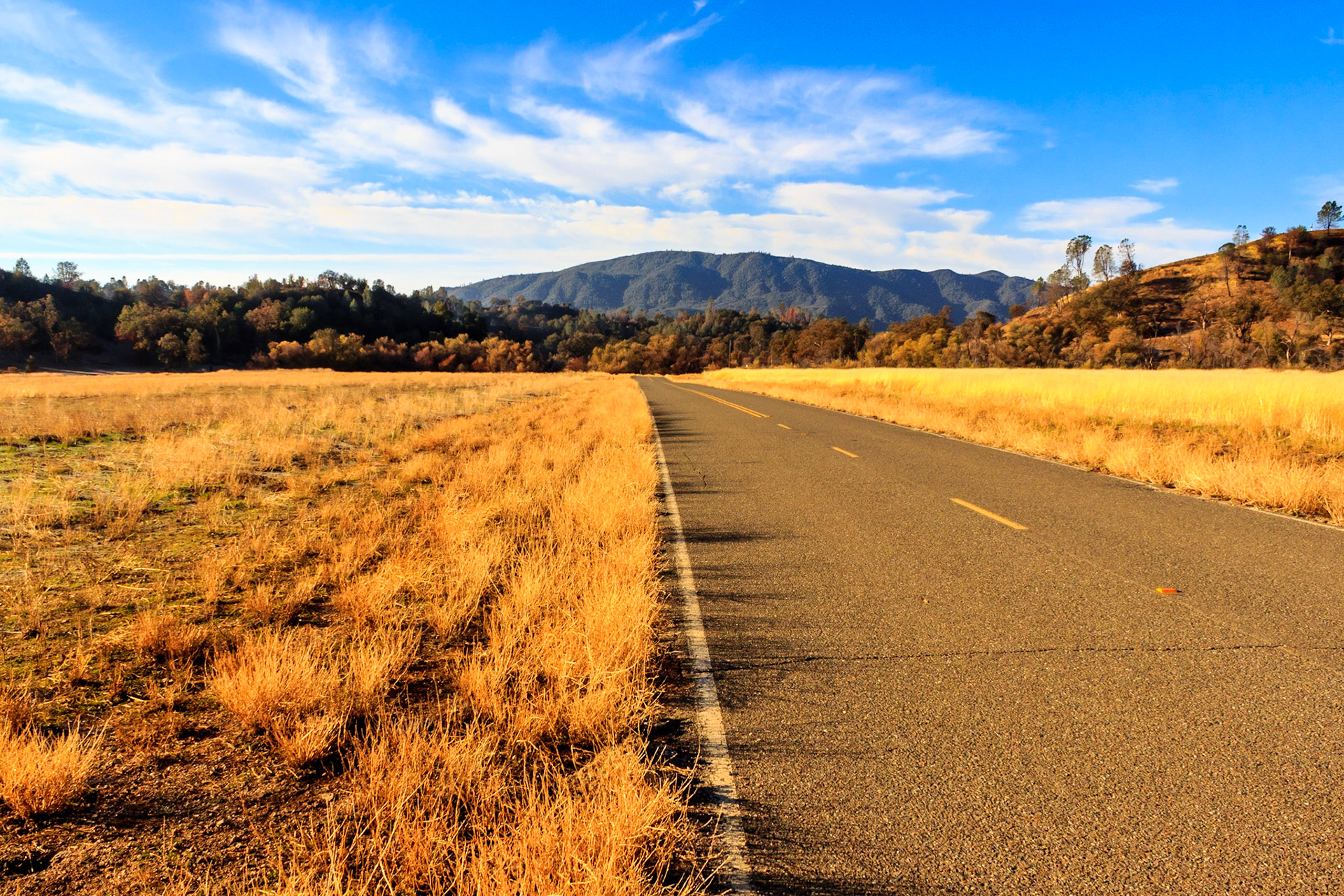 Near Fort Hunter Liggett