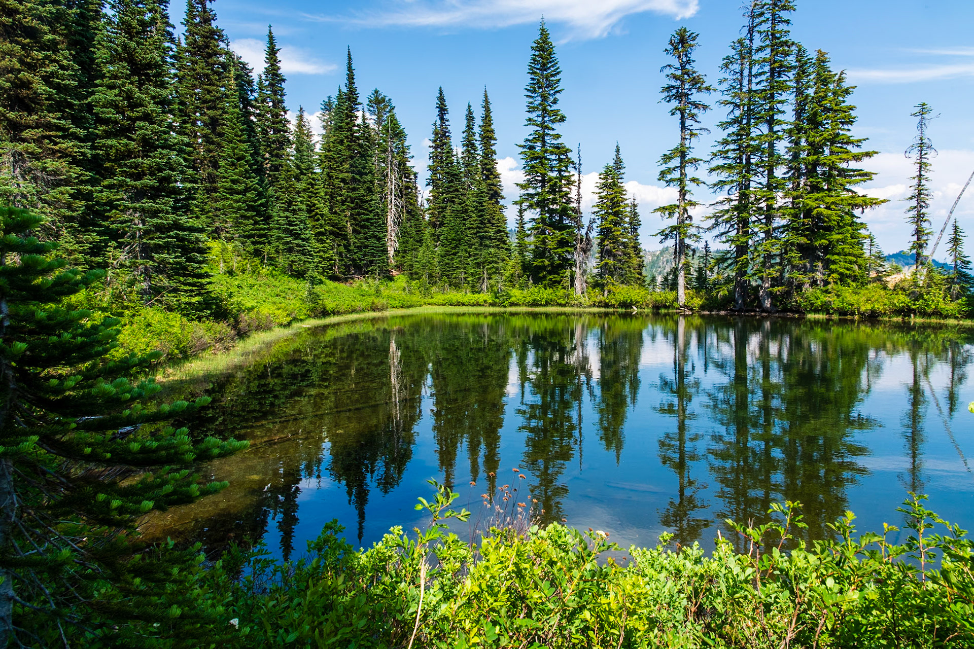 Pond on Mazama Ridge Trail