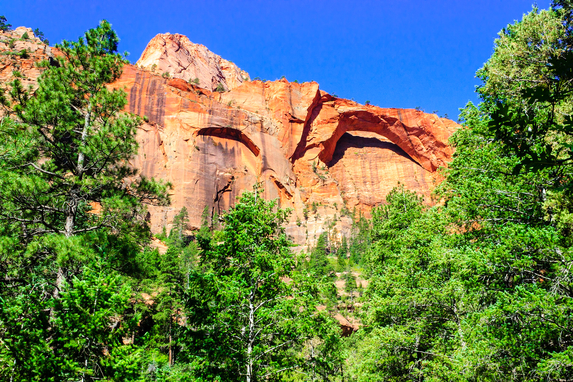 Kolob Arch