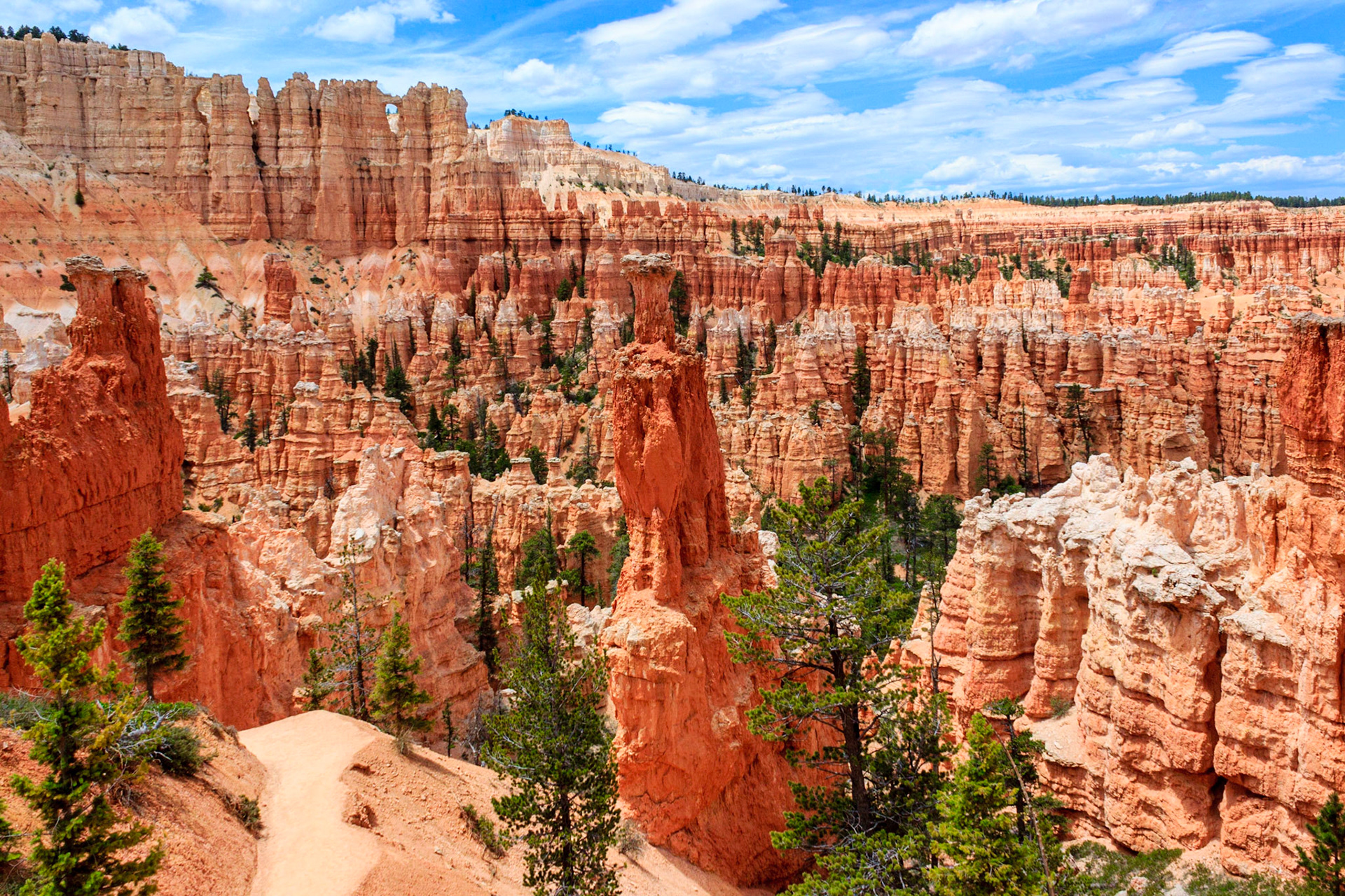 Bryce Ampitheater