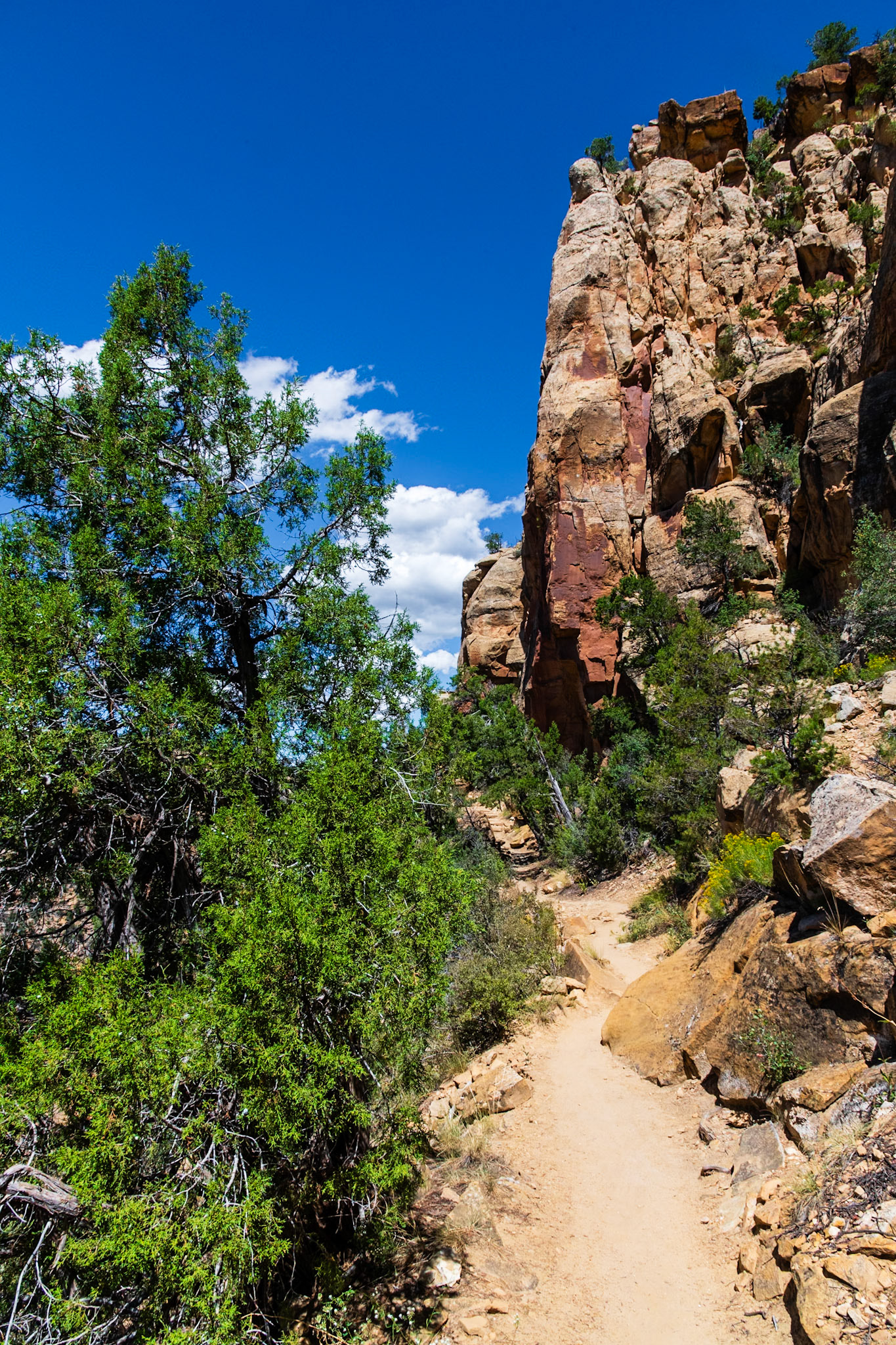 Petroglyph Trail