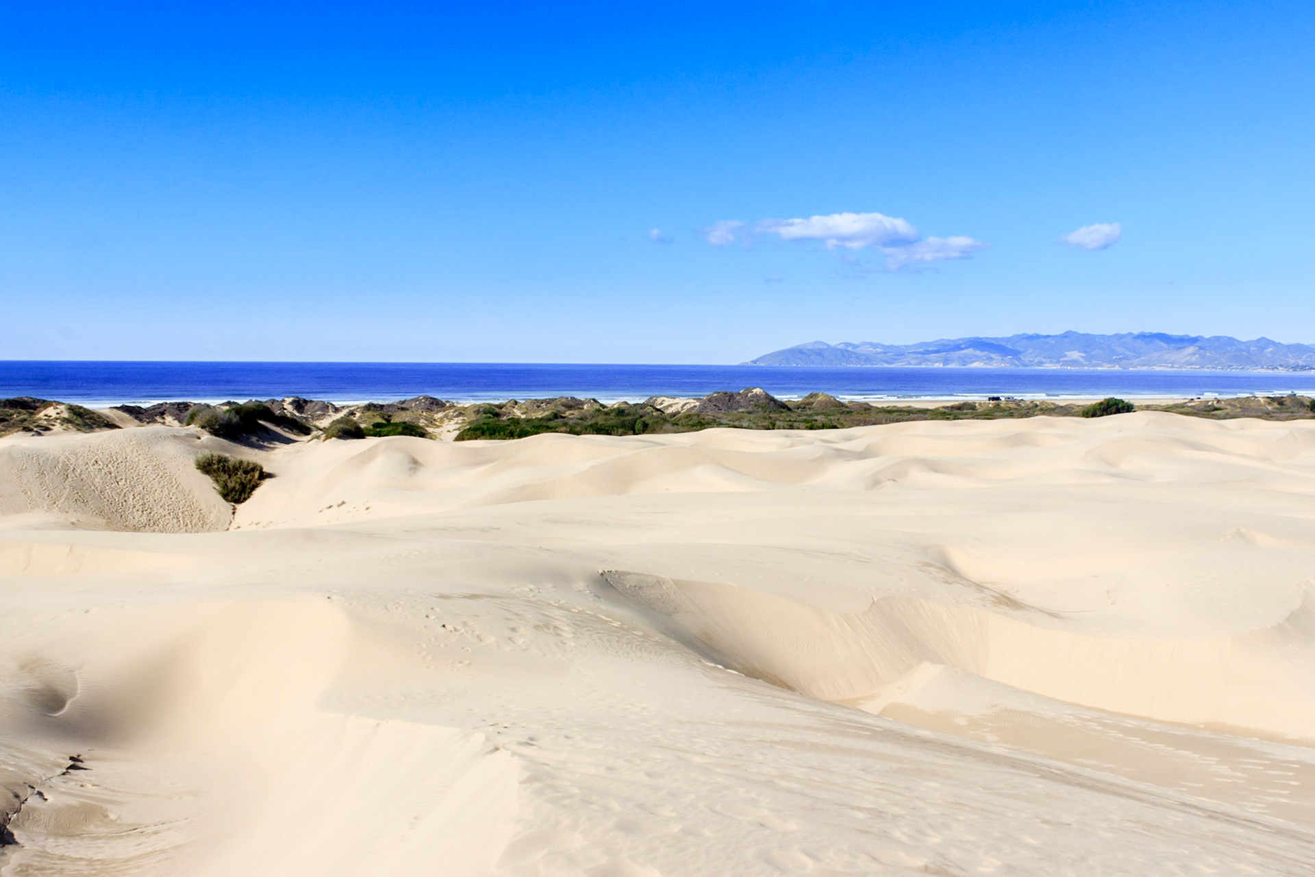 Oceano Dunes